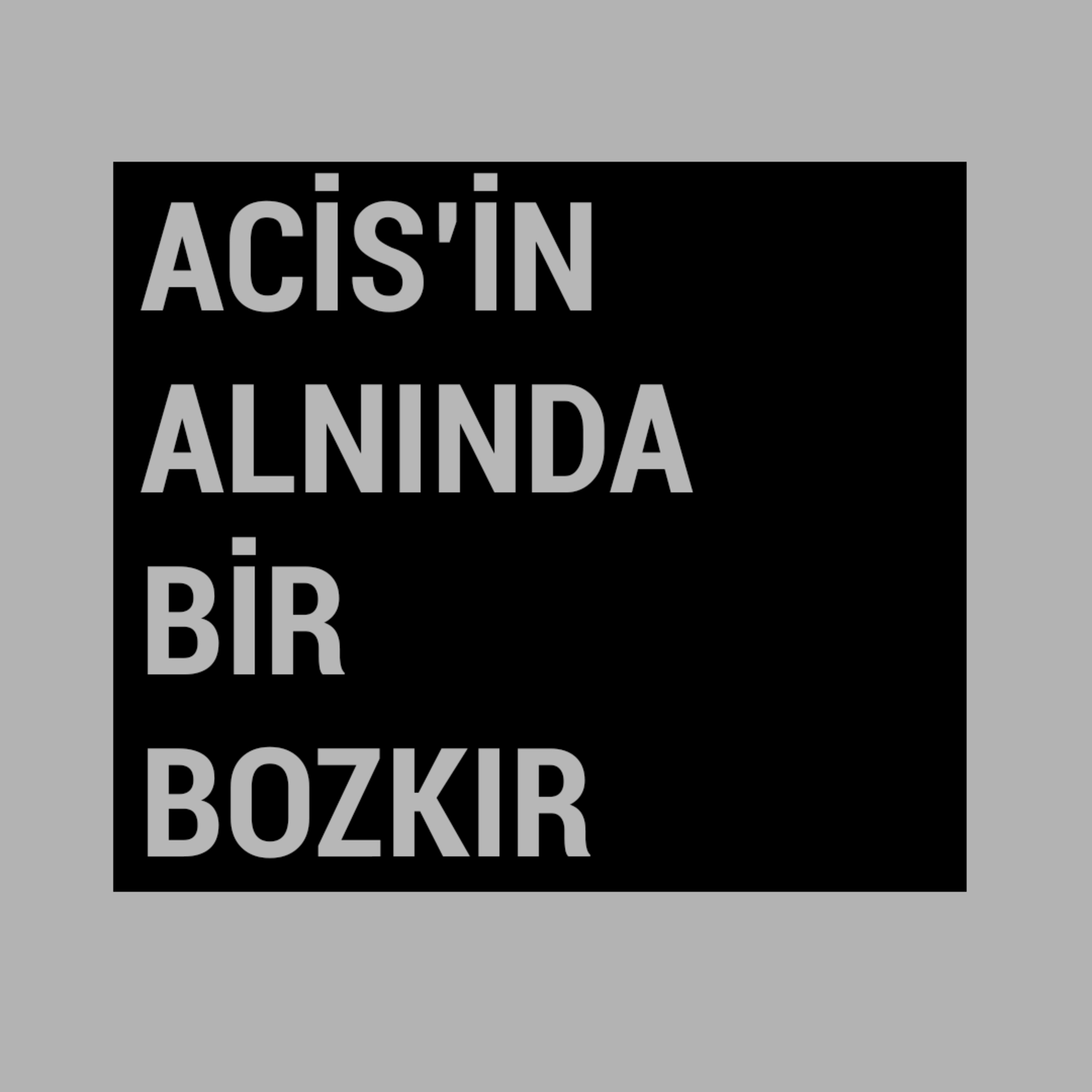 bazı şeyler vardır