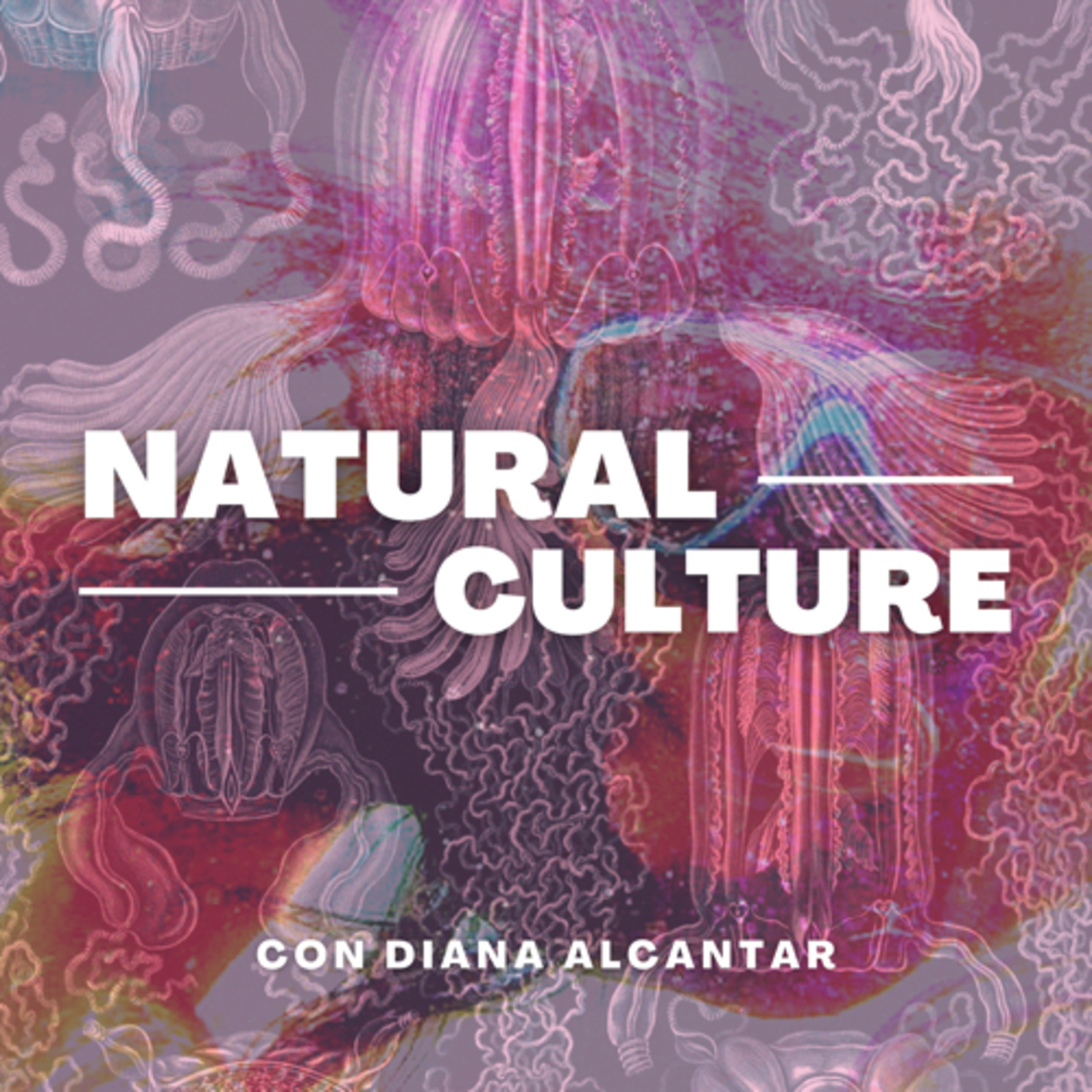 Natural Culture