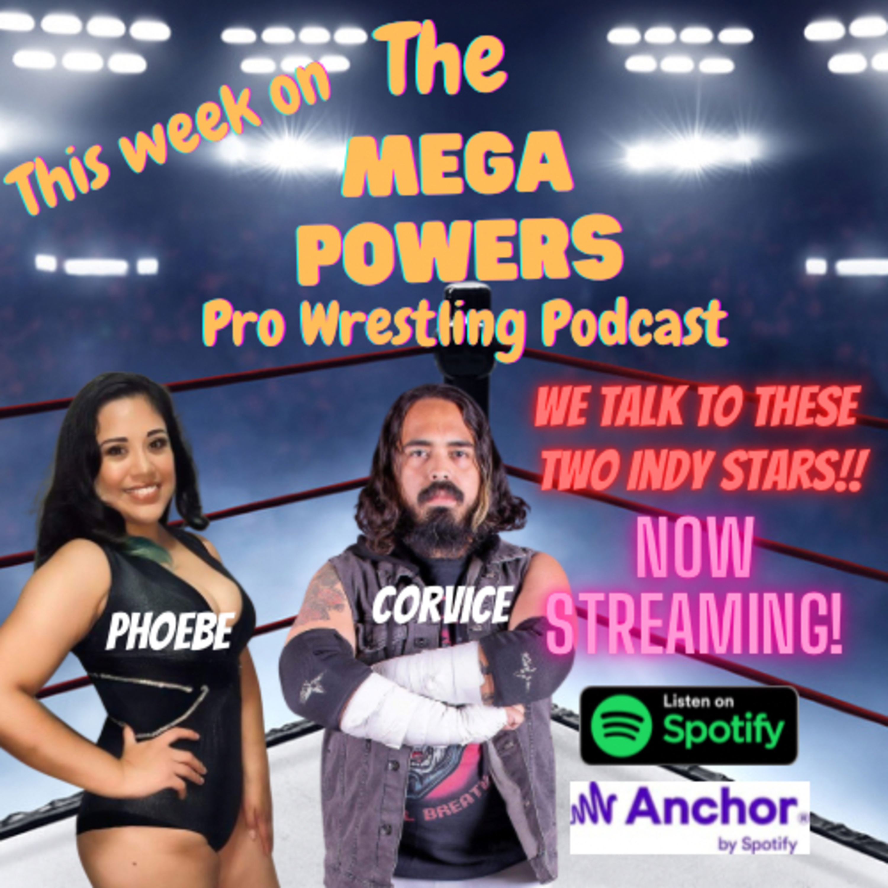The Mega Powers Pro Wrestling Podcast