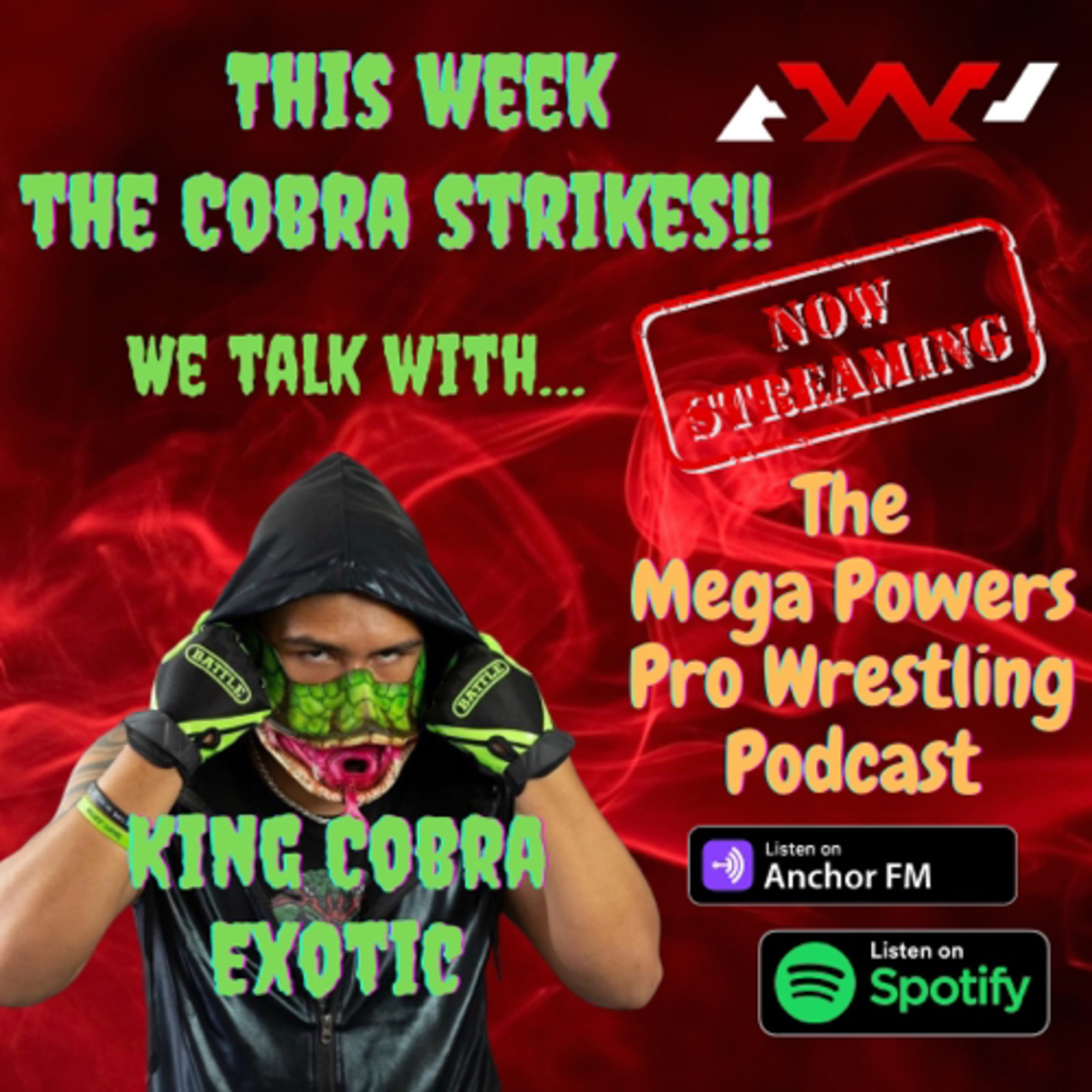 The Mega Powers Pro Wrestling Podcast