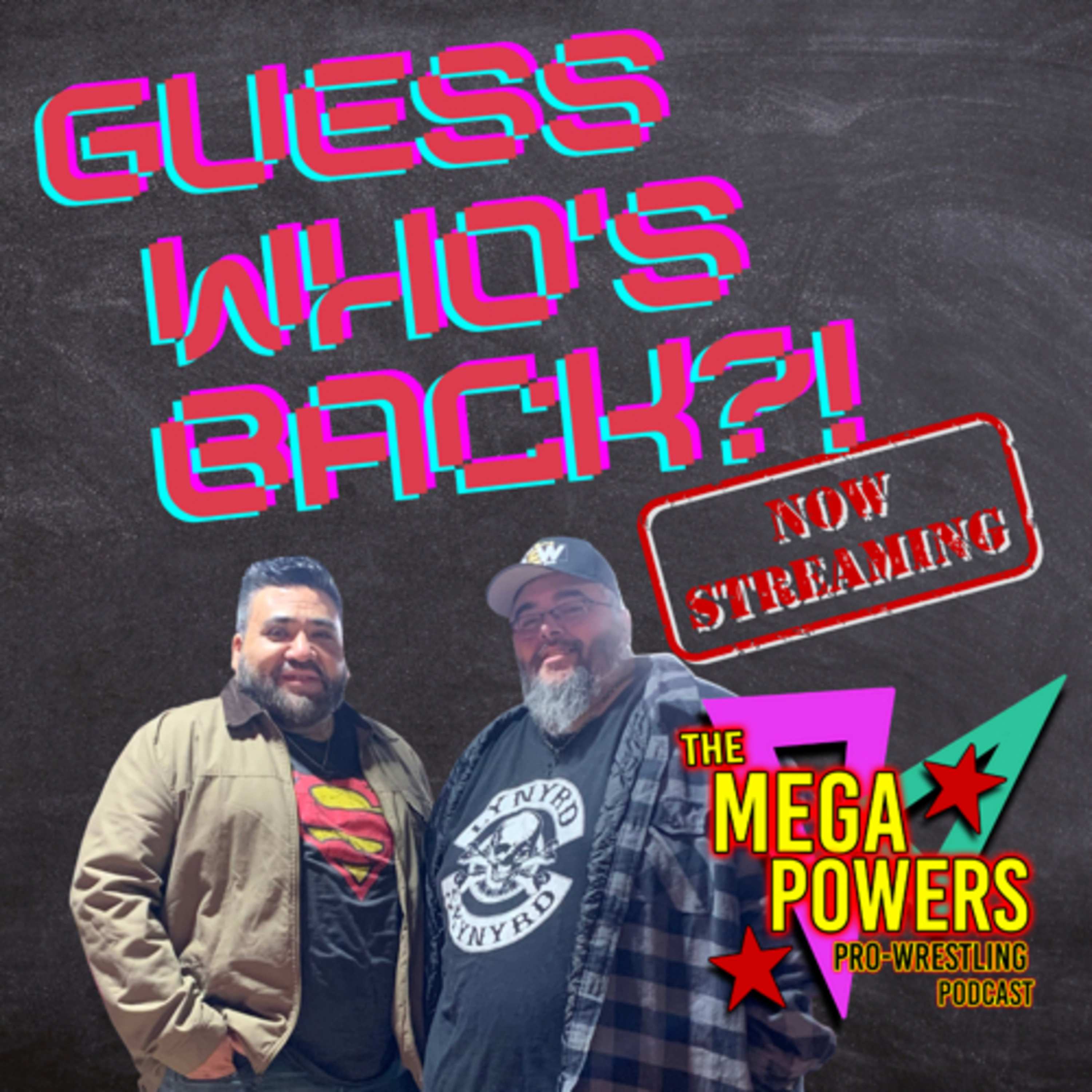 The Mega Powers Pro Wrestling Podcast