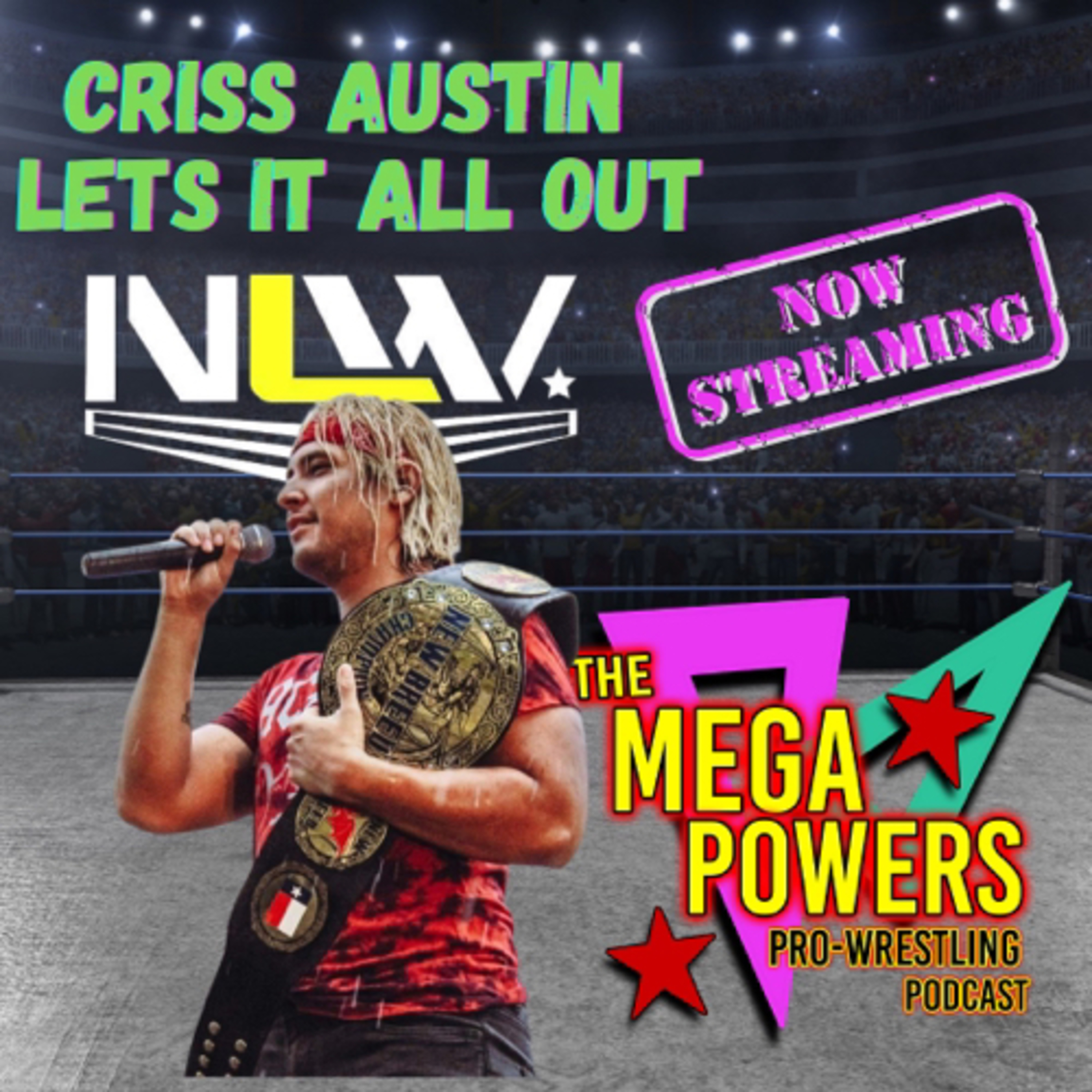 The Mega Powers Pro Wrestling Podcast