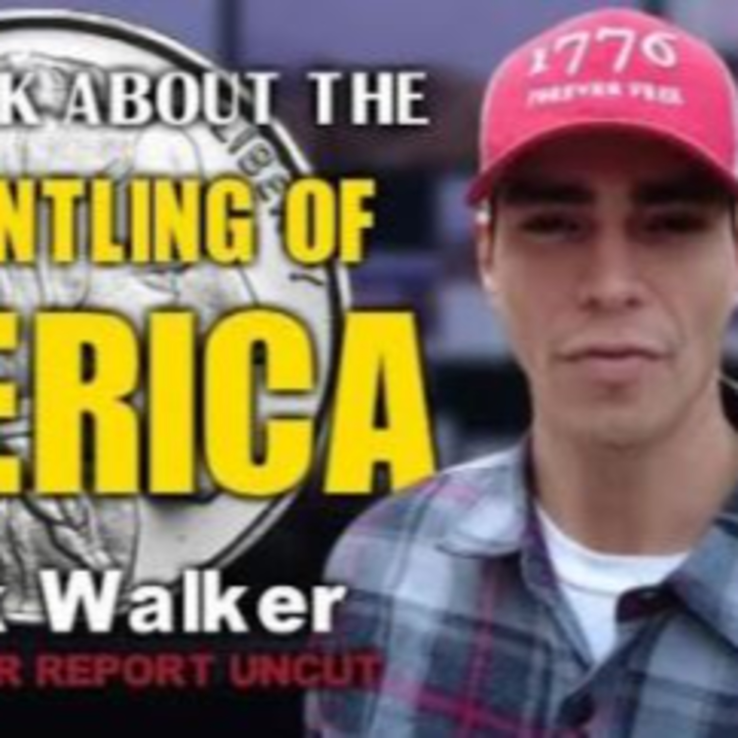 The Dismantling of America: Attack Against Our Property, Privacy & Free Speech w/ Frank Walker episode artwork
