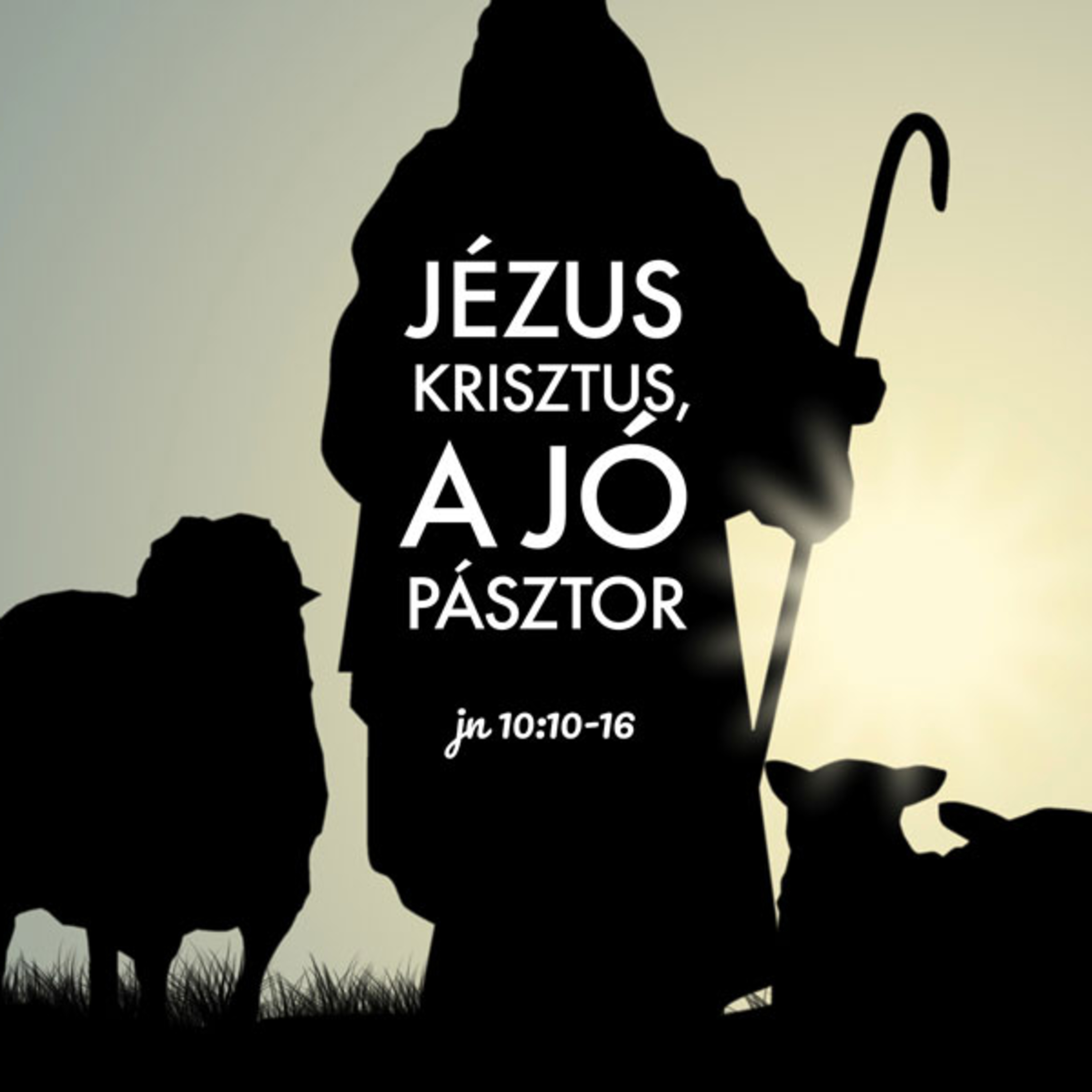Kübler János - János 10:10-16 episode artwork