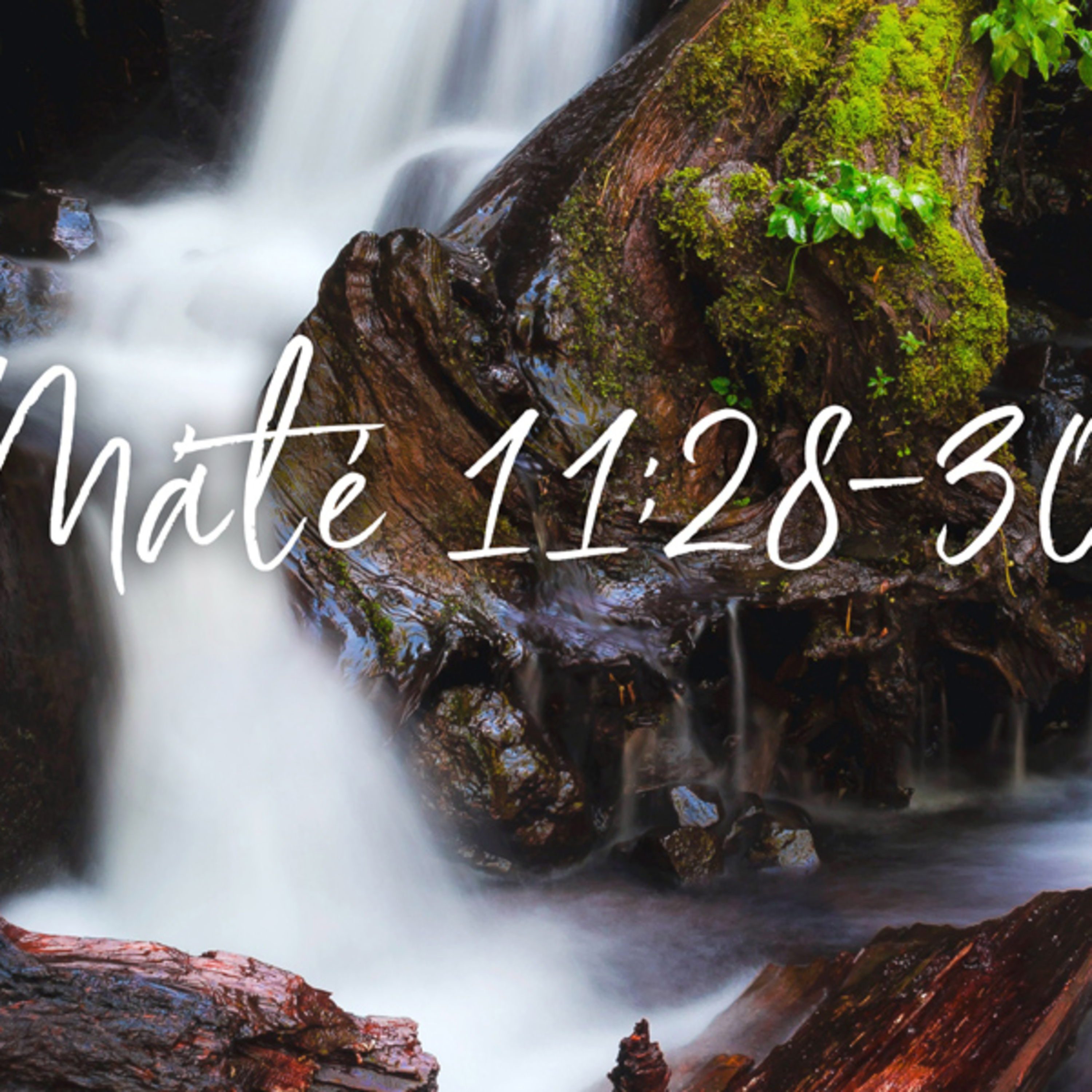 Kübler János - Máté 11:28-30