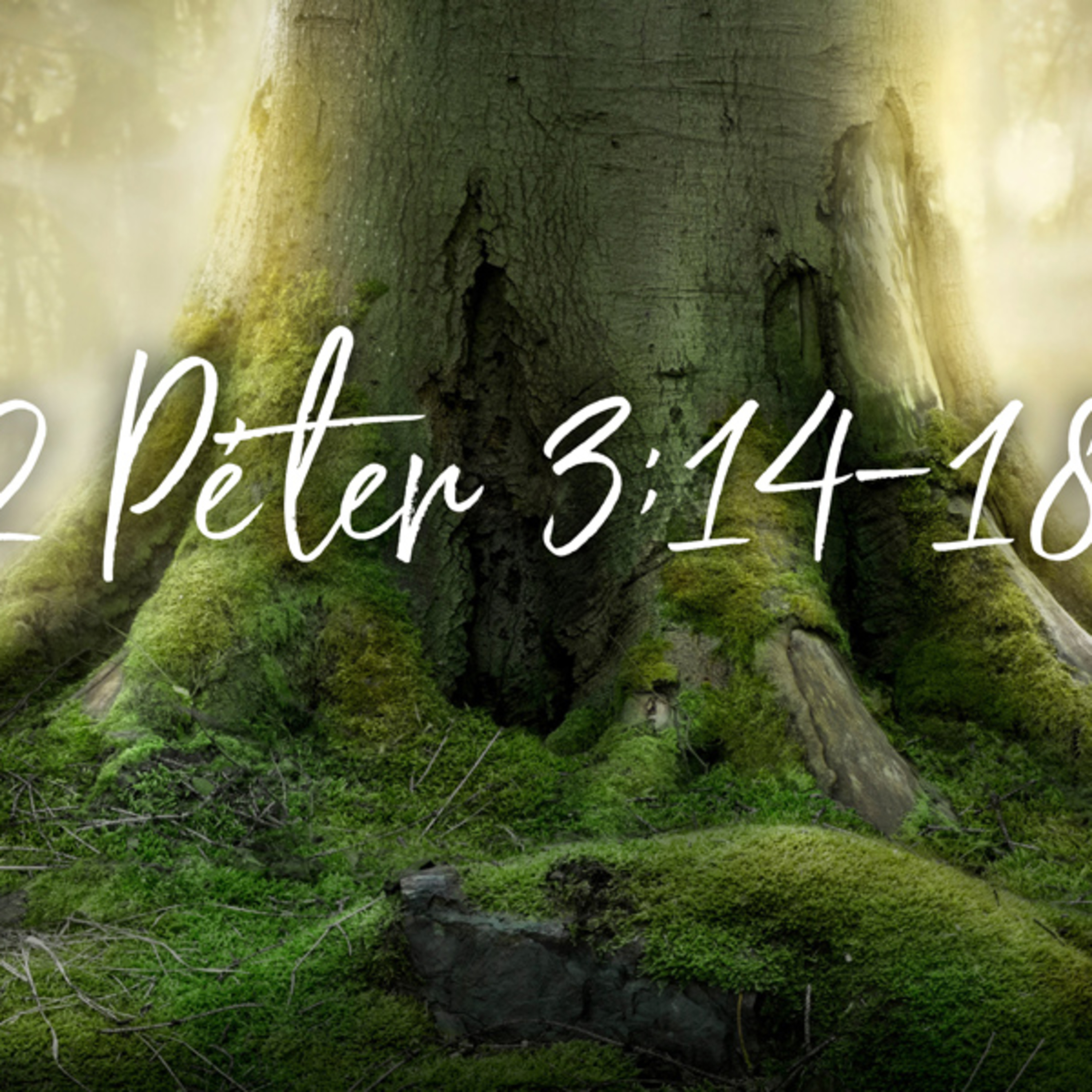 Marton Zsolt - II. Péter 3:14-18 episode artwork
