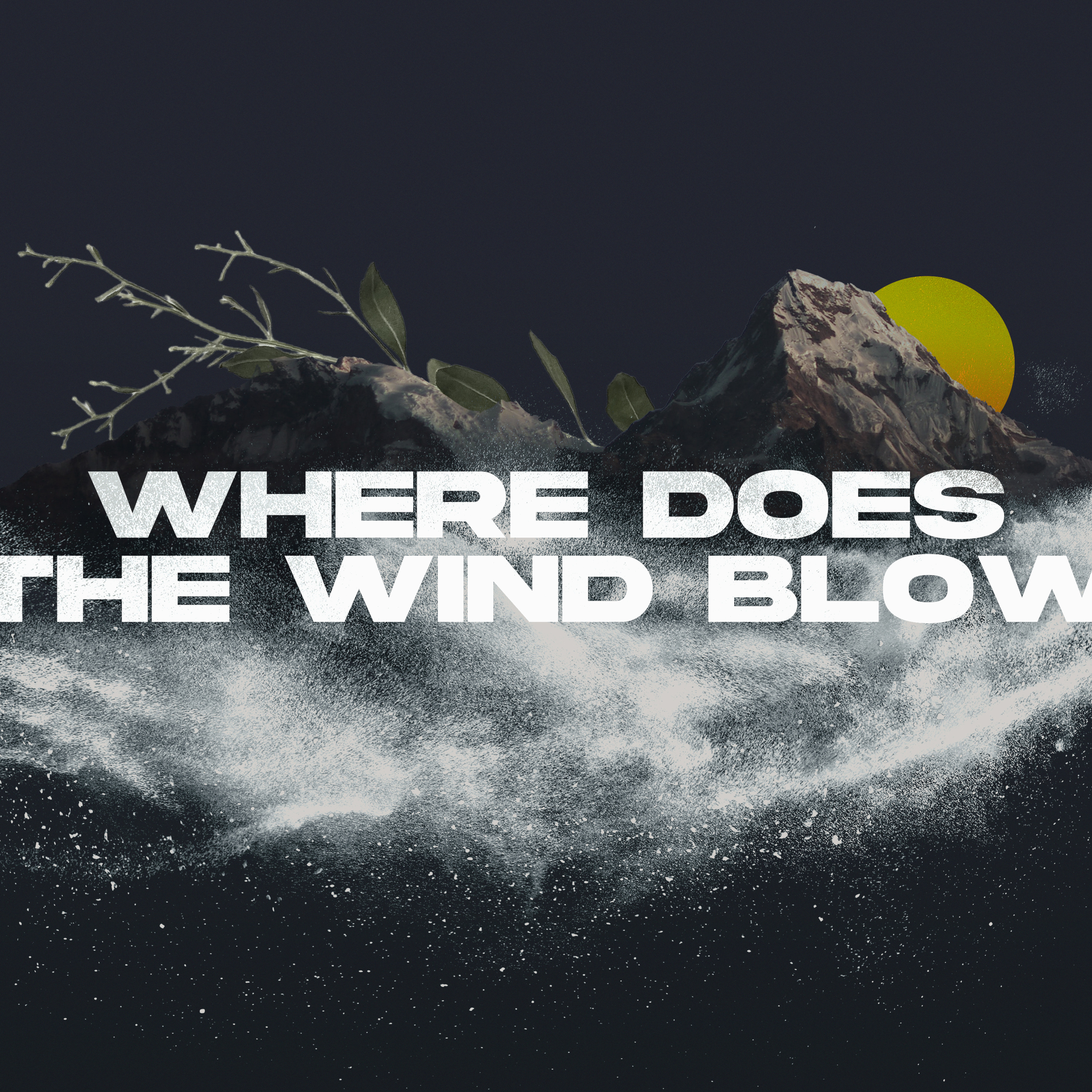 Where Does The Wind Blow? - Pentecost Sunday 06/05/22 episode artwork