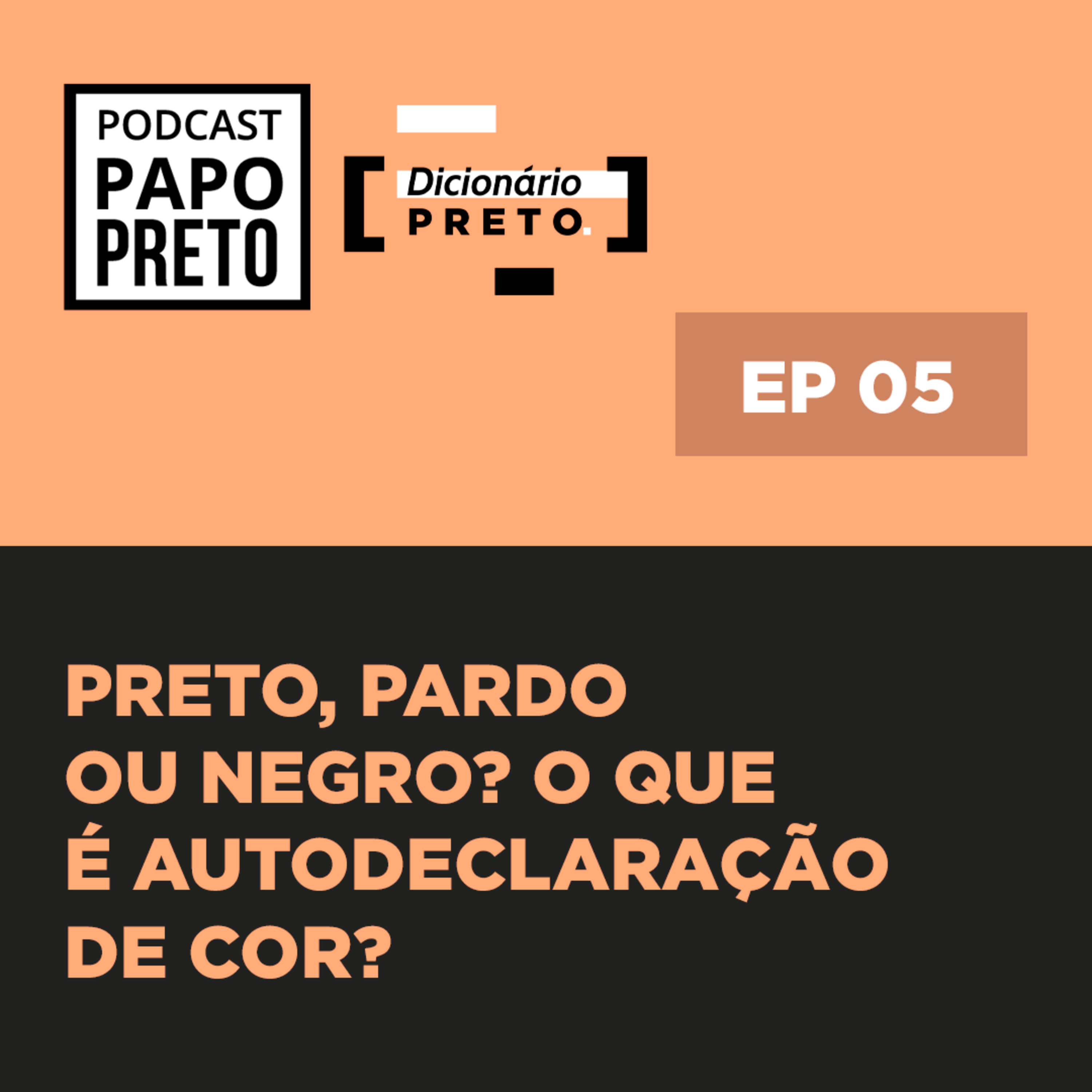 O que é a autodeclaração de cor? Dicionário preto #05 episode artwork