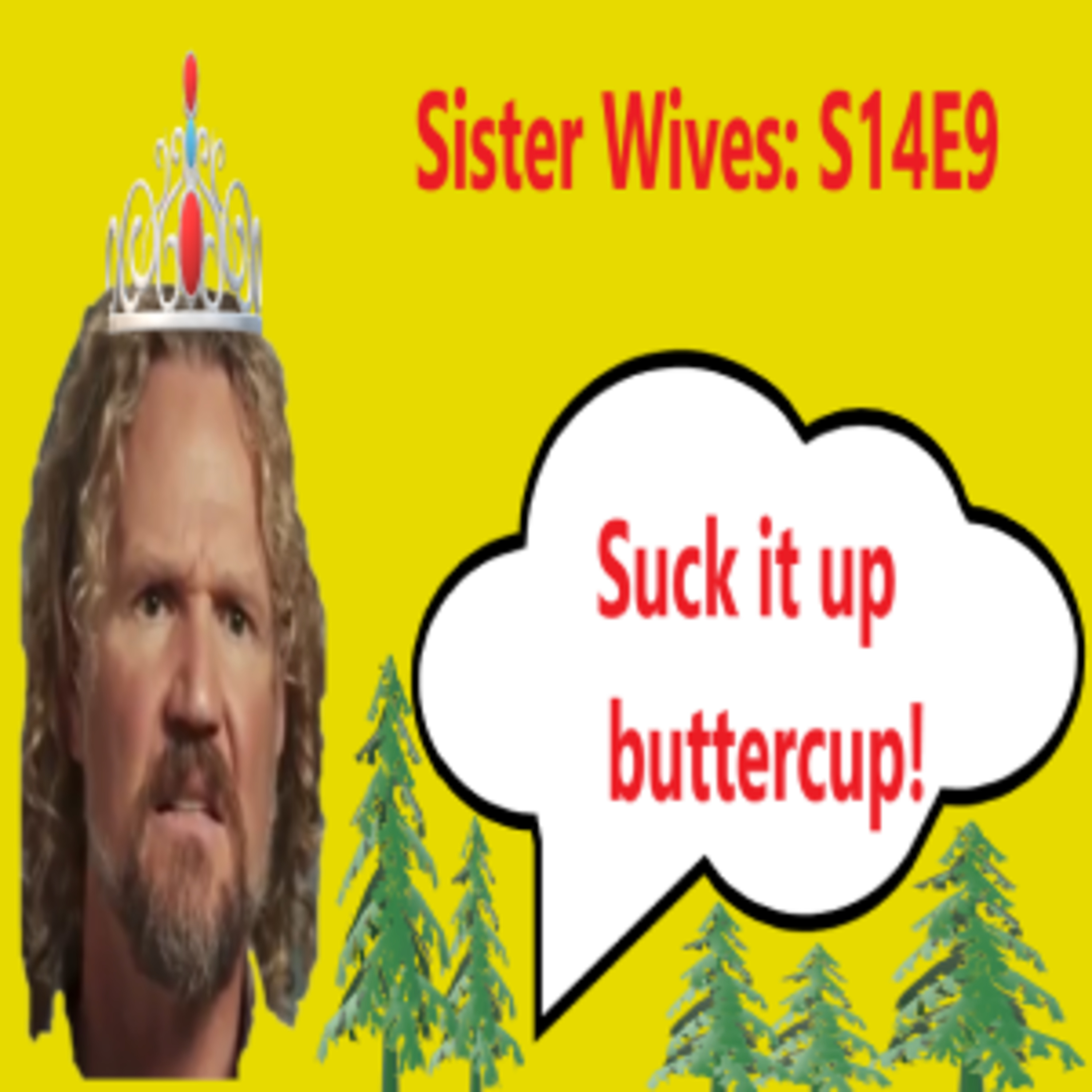 Sister Wives with MaryJane Kay