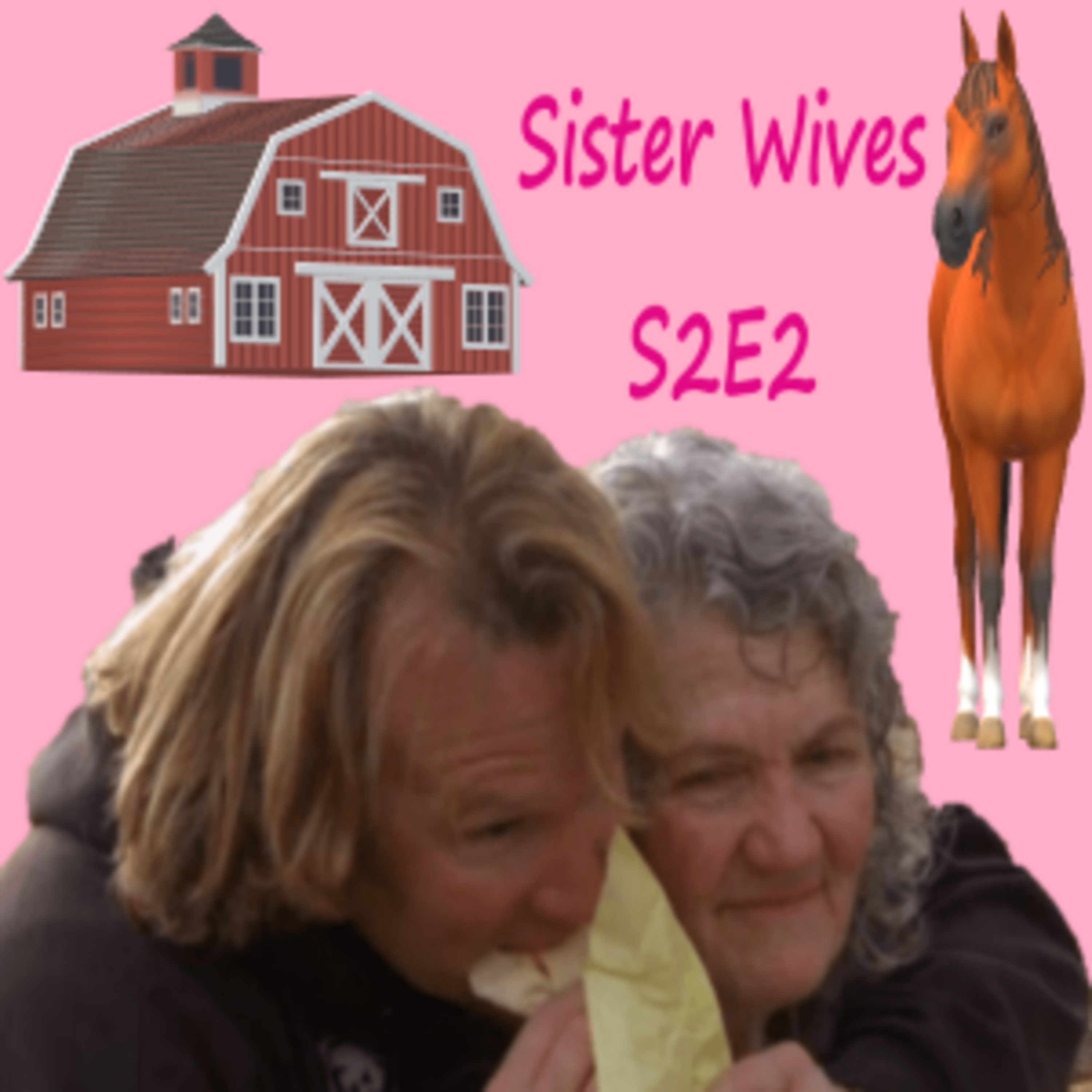 Sister Wives with MaryJane Kay