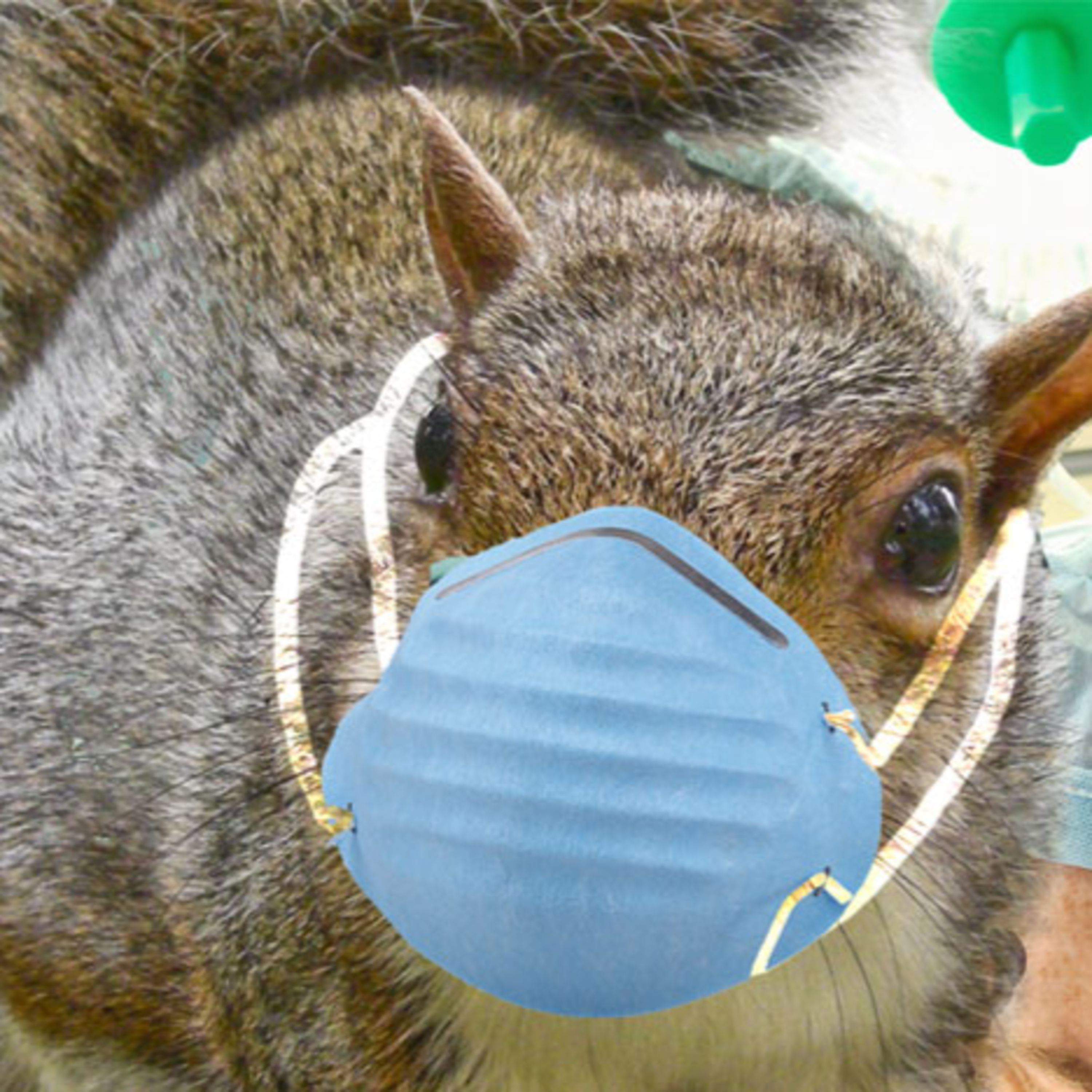 Coronavirus Special Report!