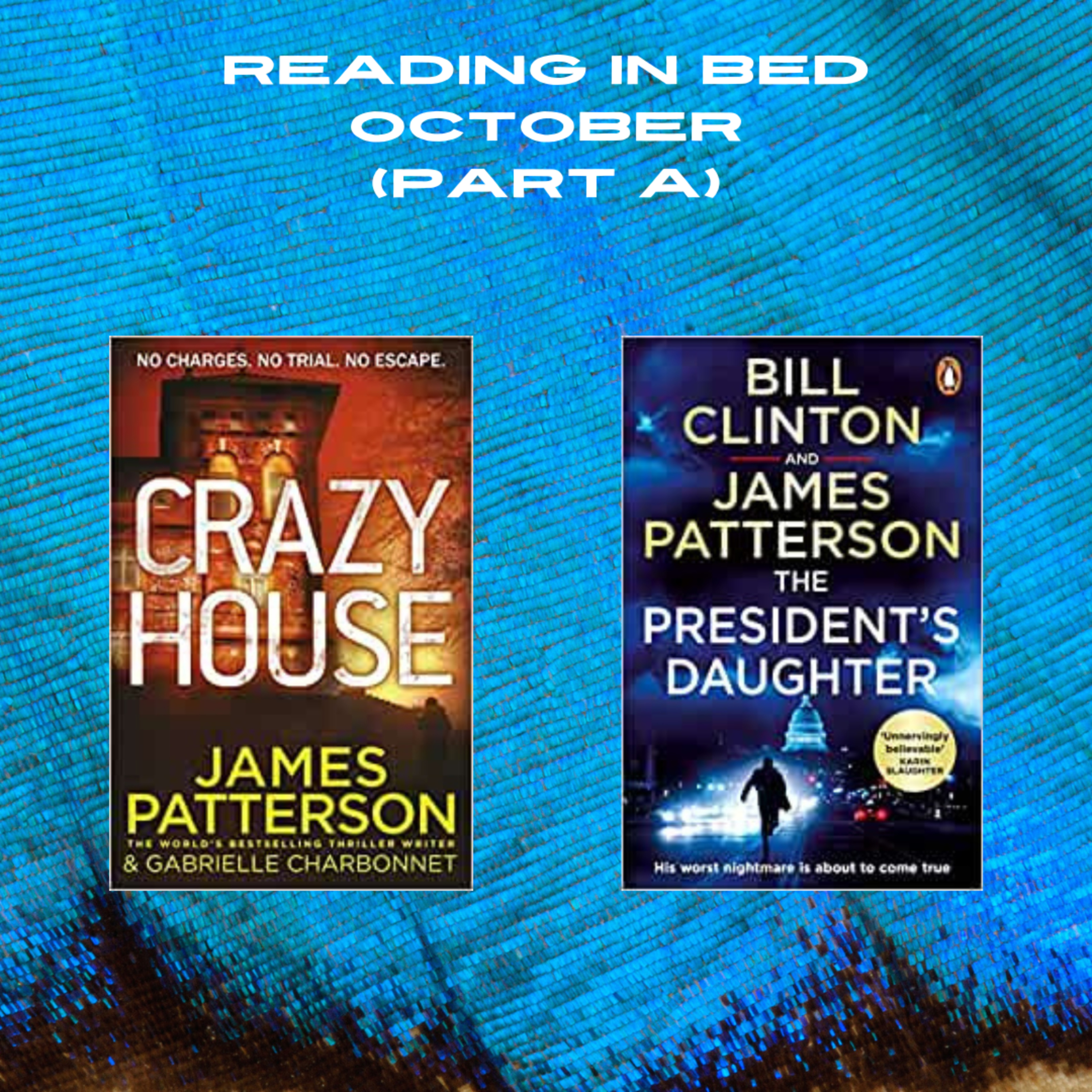 Reading in Bed