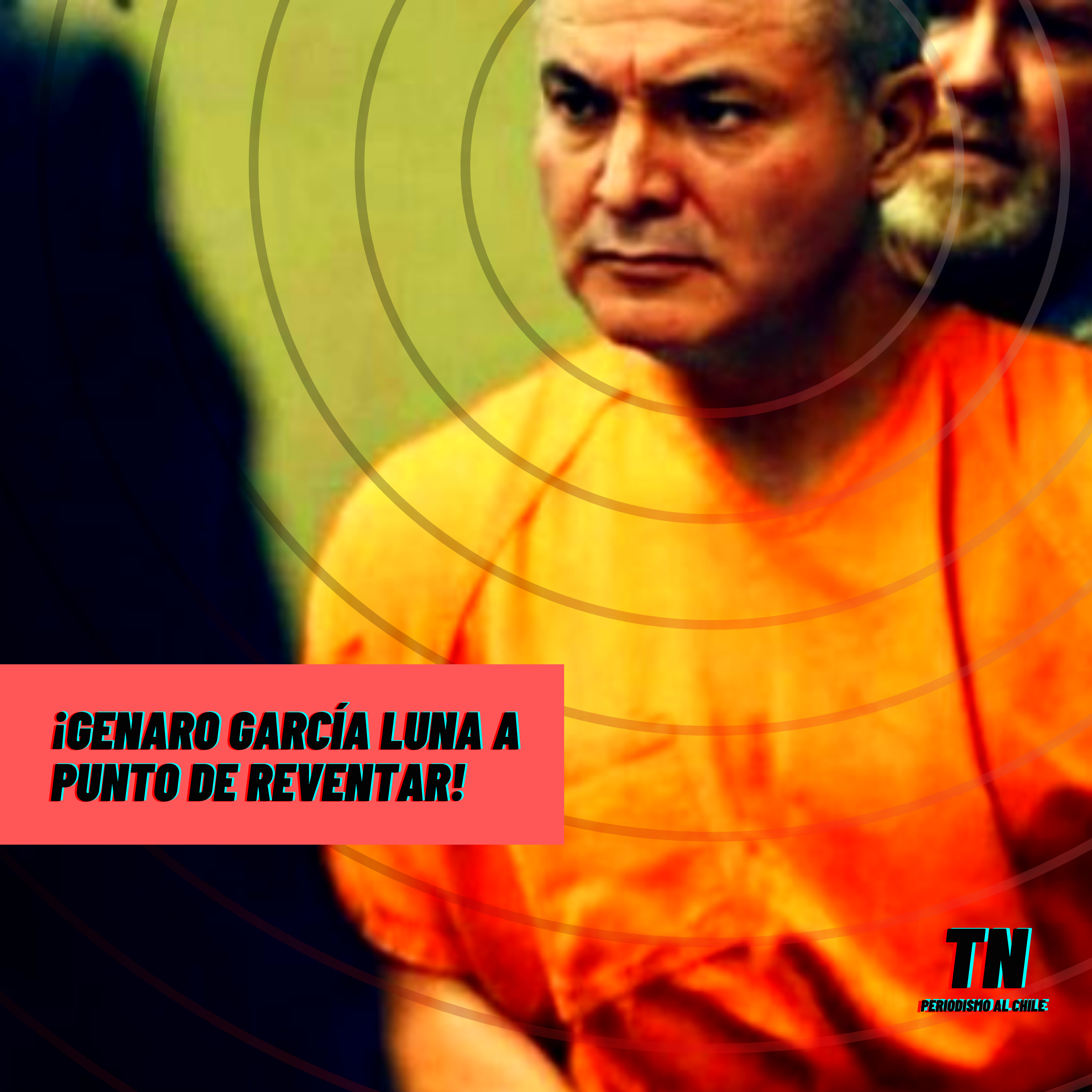 Tribuna de Necios