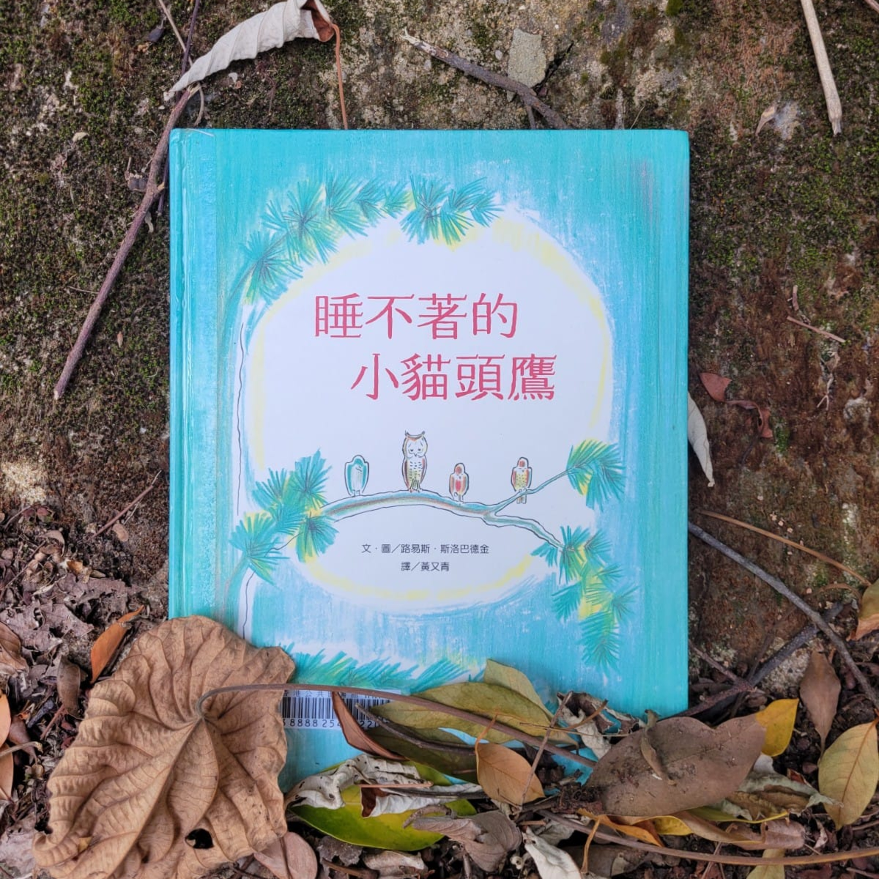 🦉《睡不著的小貓頭鷹》🌖 (睡覺/困難/友情)