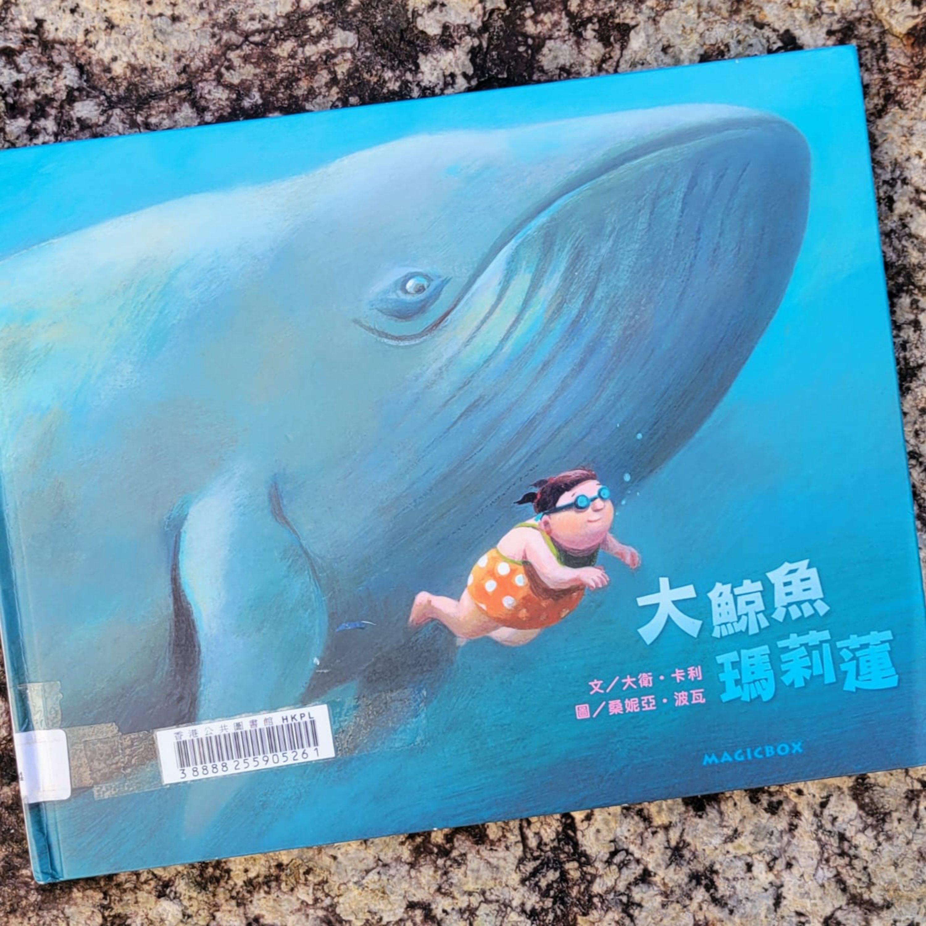 🏊🏼♀️ 《大鯨魚瑪莉蓮》🐳 (游泳/欺凌/勇氣/想像)