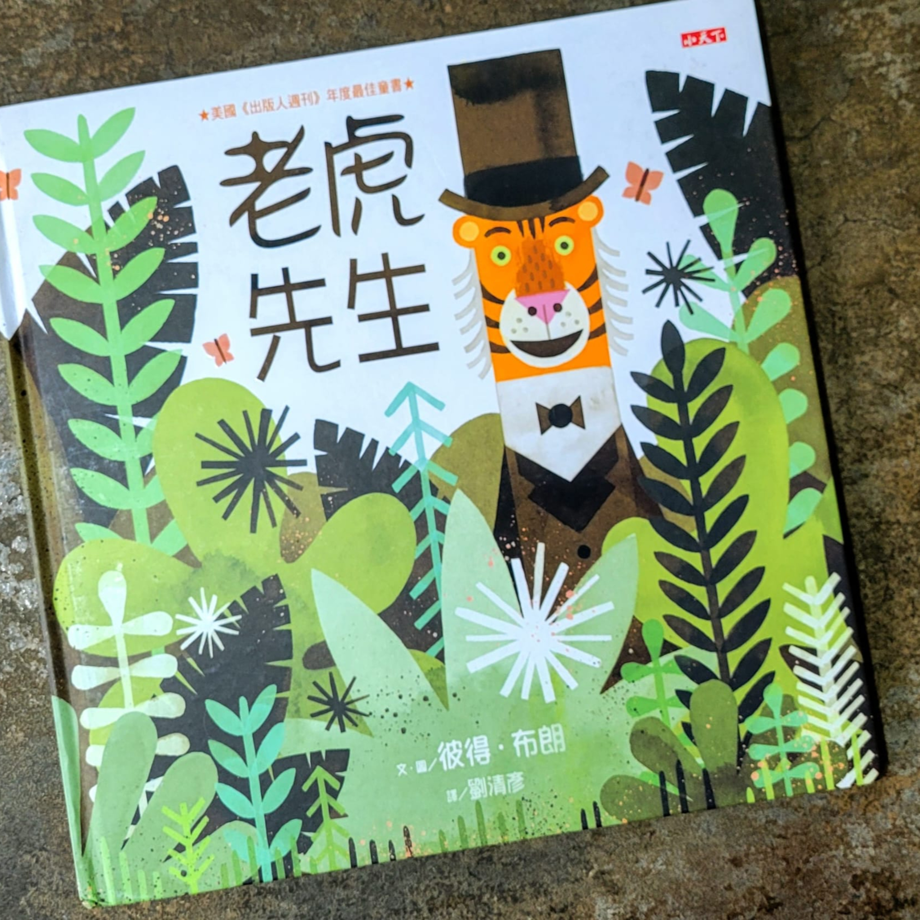 🐅《老虎先生》🌱 (規矩/大自然/真我)