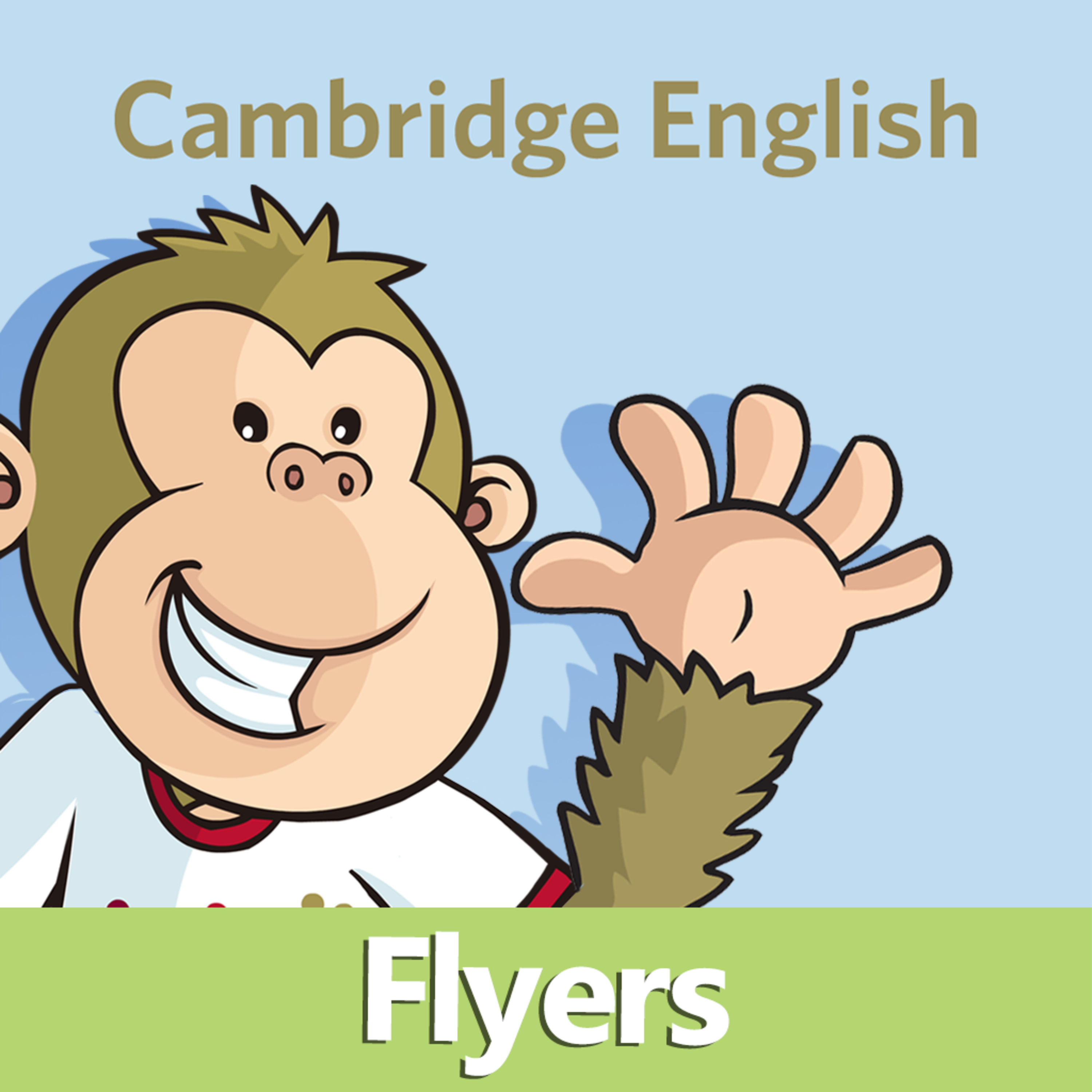 Cambridge Tips: Flyers
