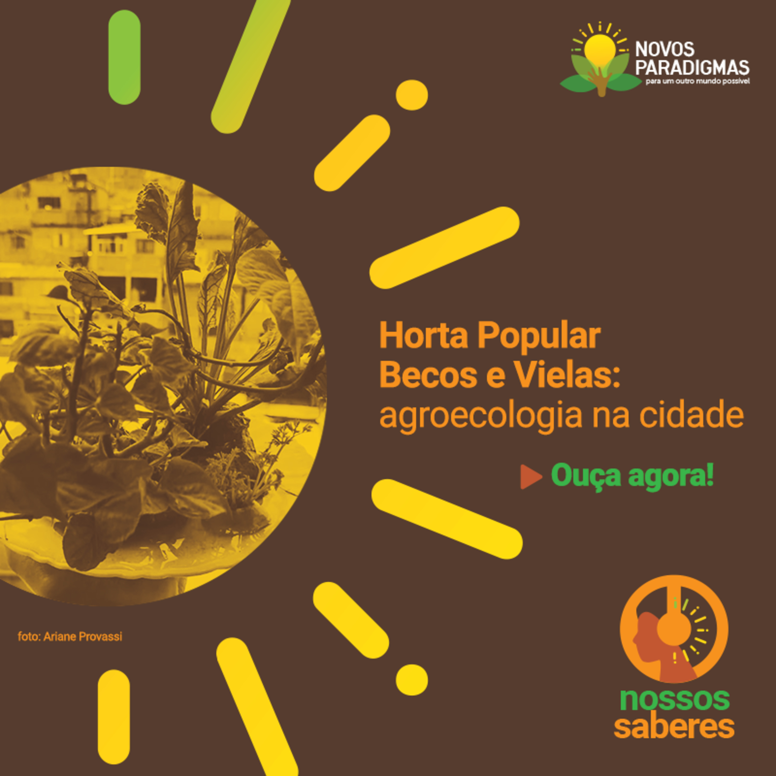 Nossos Saberes