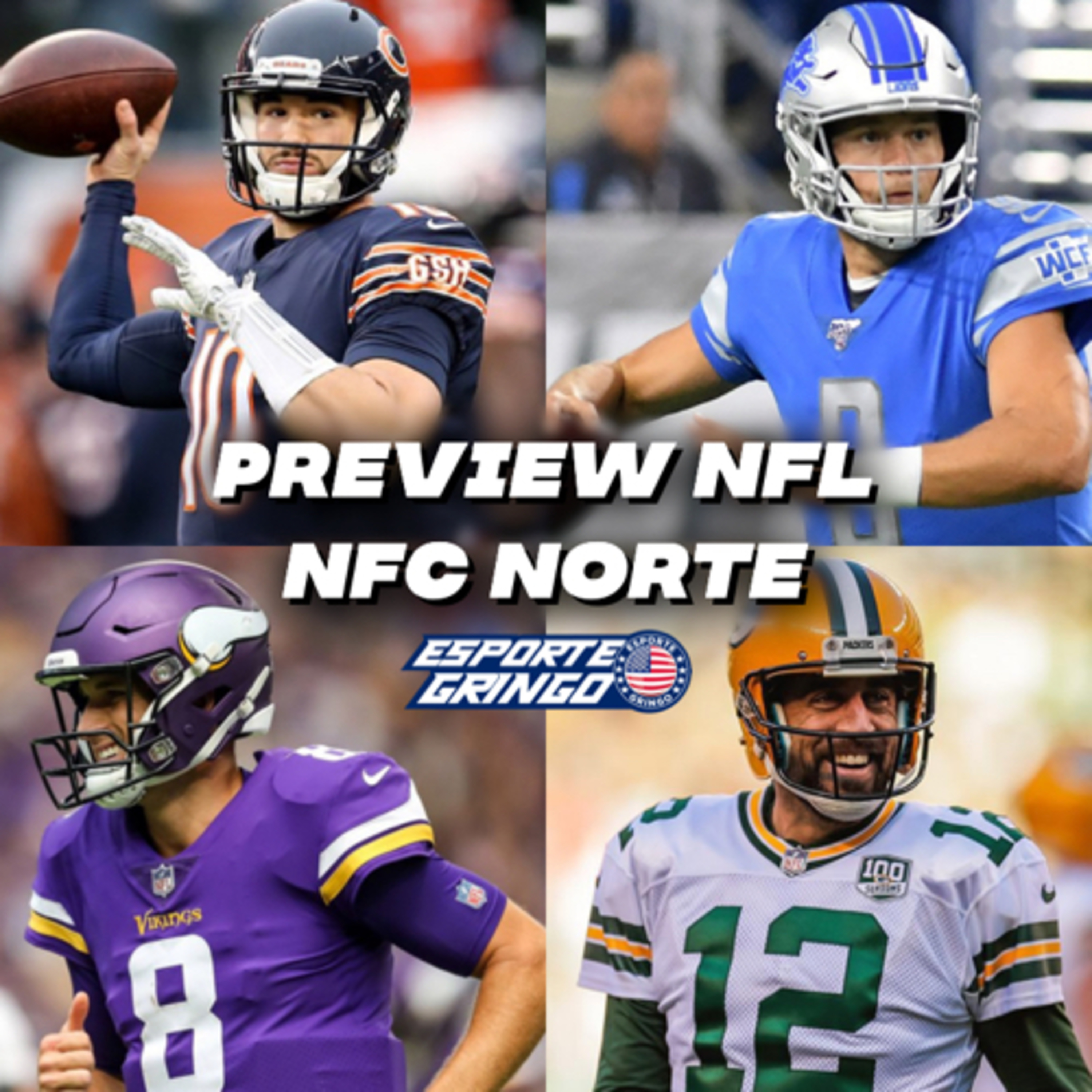 #NFL.8 - Preview 2019 - NFC Norte