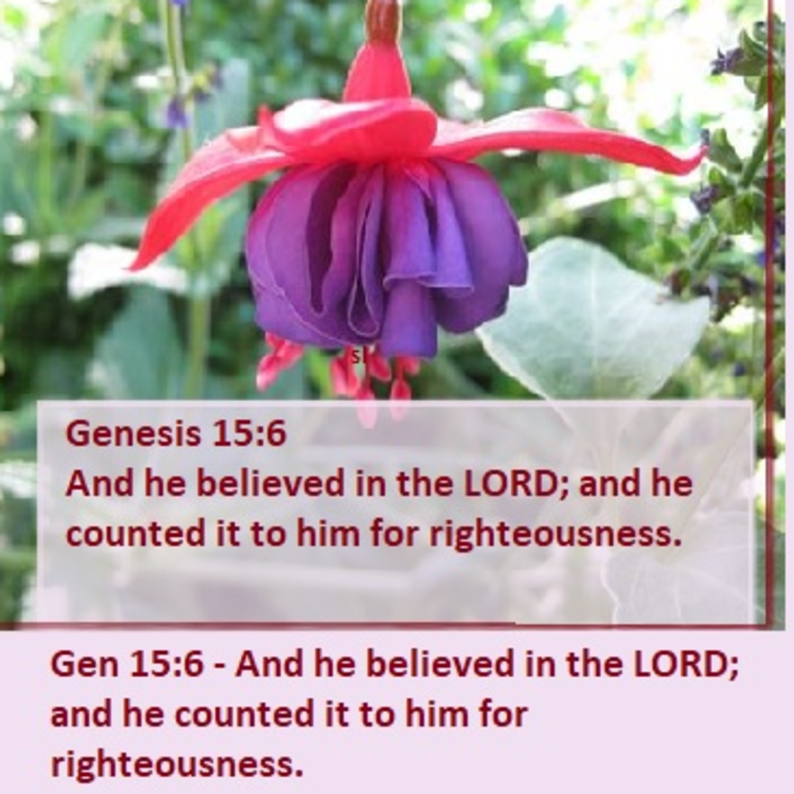 Blood Covenant Bible Studies