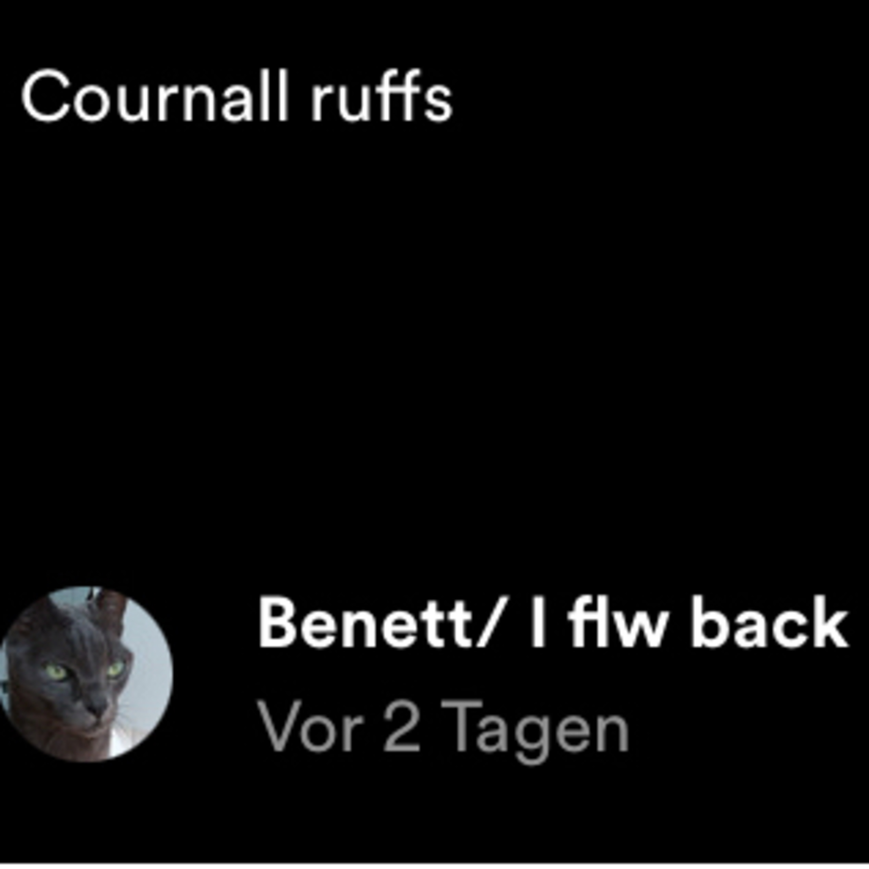 Gaming/YouTube cast