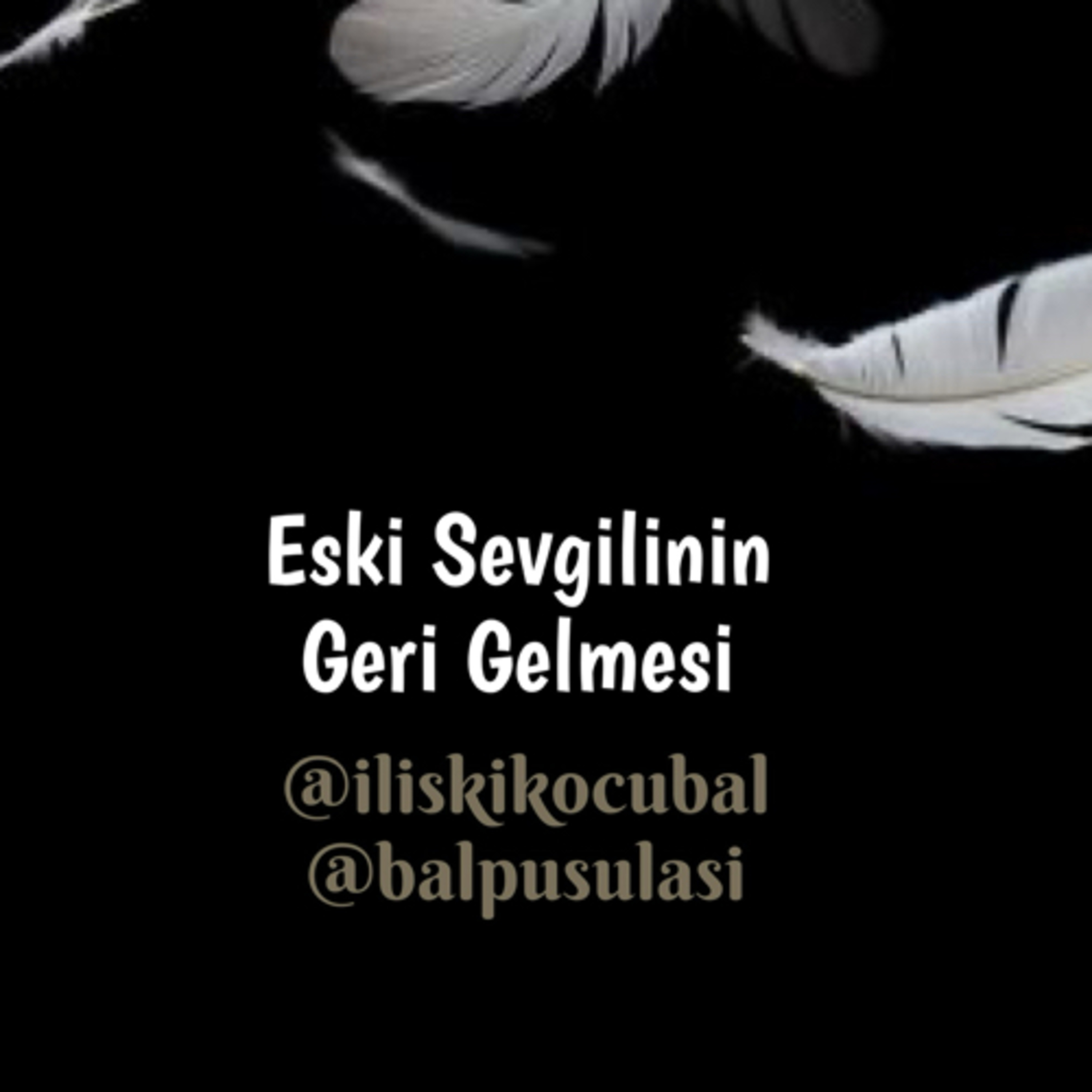 İlişki Koçu Bal