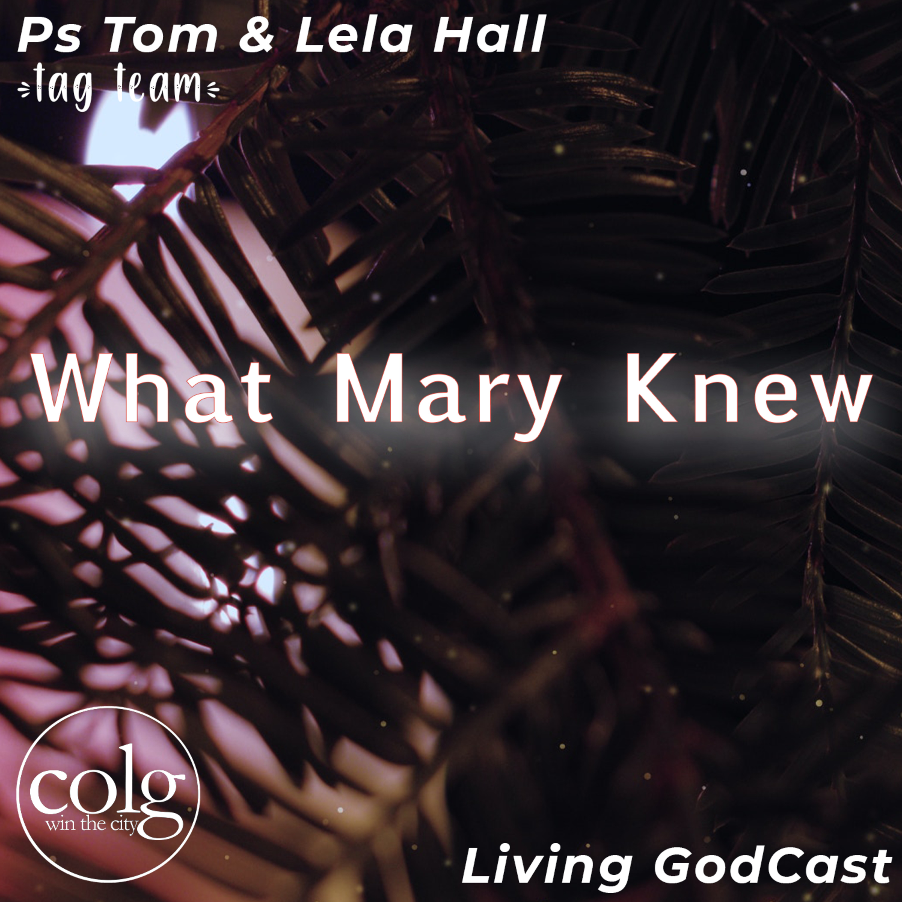 What Mary Knew (Tag team) - 12/6/2020 11AM episode artwork