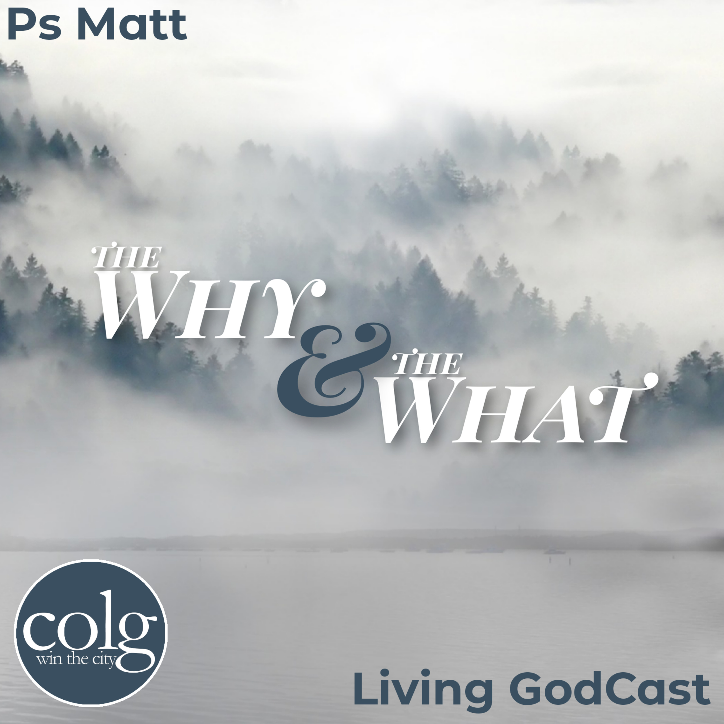 The Why & the What (Part 2) - 9/29/2021 episode artwork