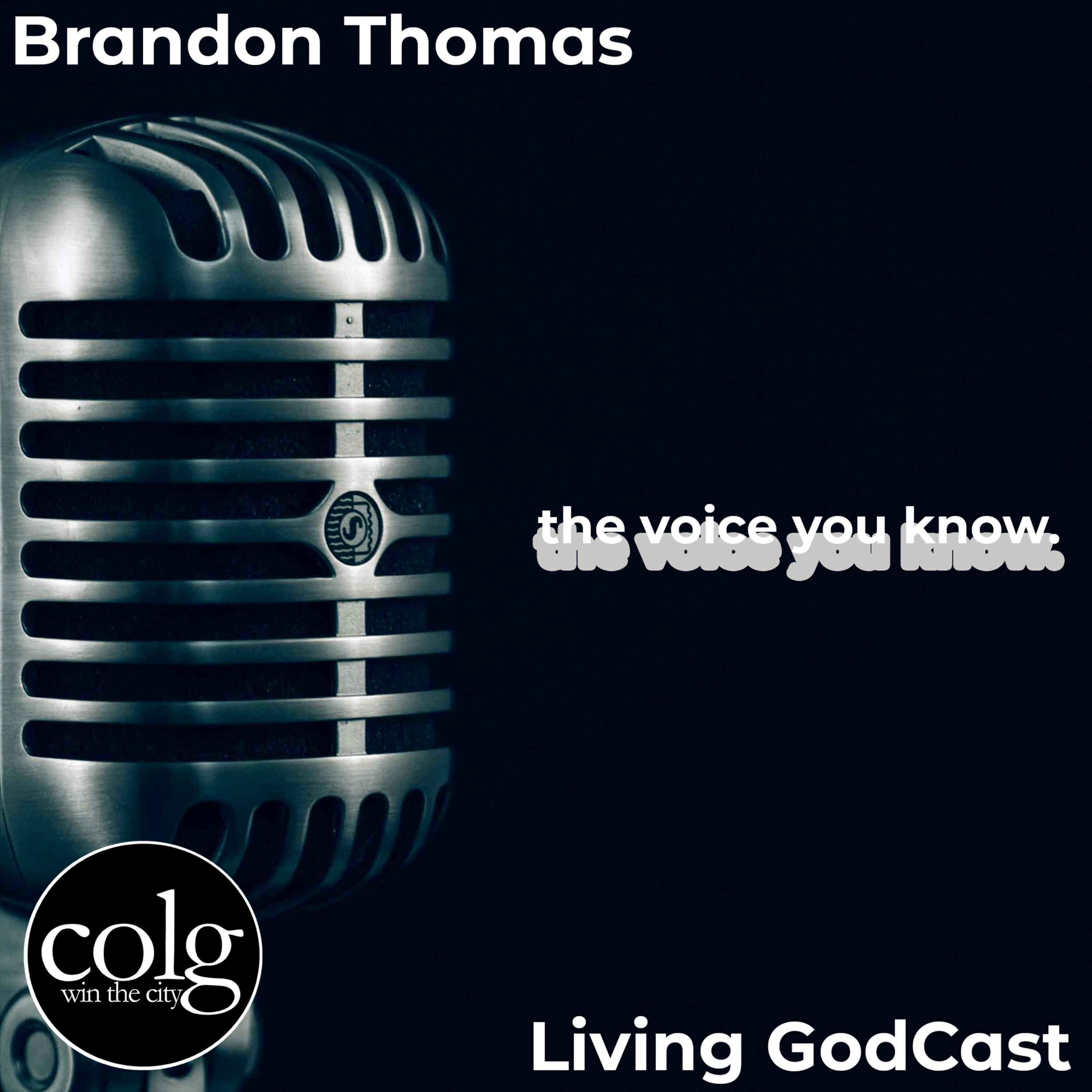 The Voice You Know - 2/13/2022 11 AM episode artwork
