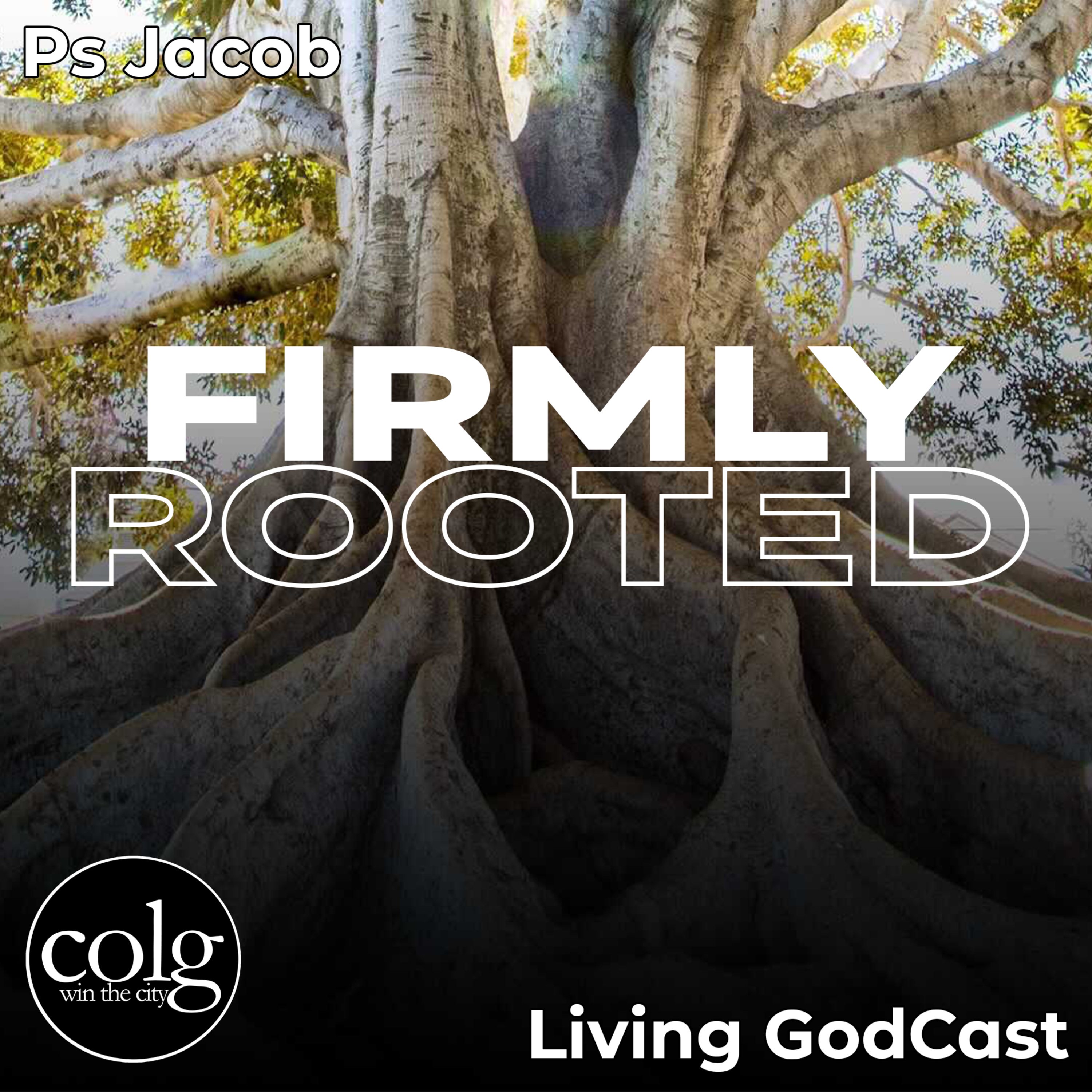 Firmly Rooted - 8/28/2022 6PM episode artwork