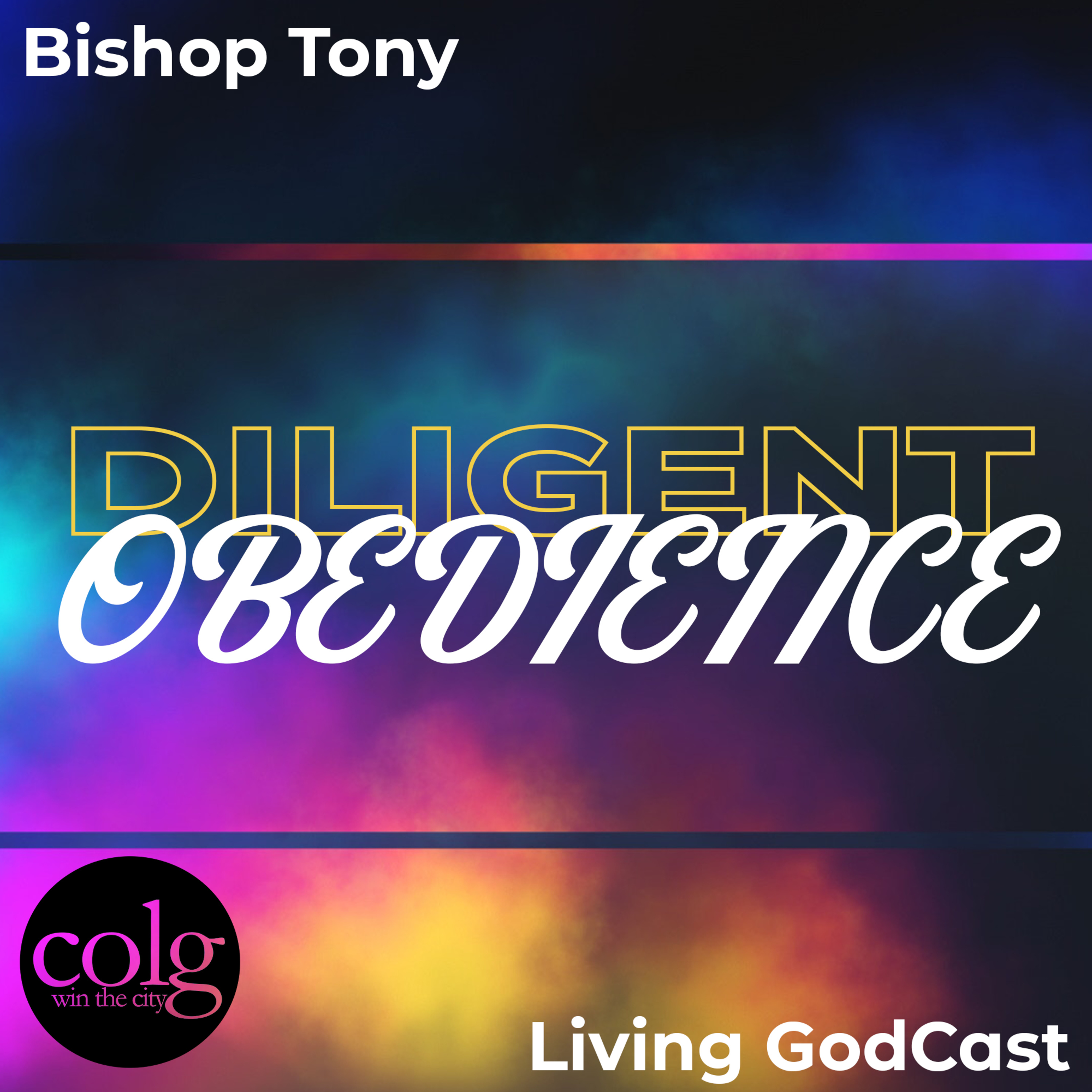 Diligent Obedience - 11/13/2022 11AM episode artwork