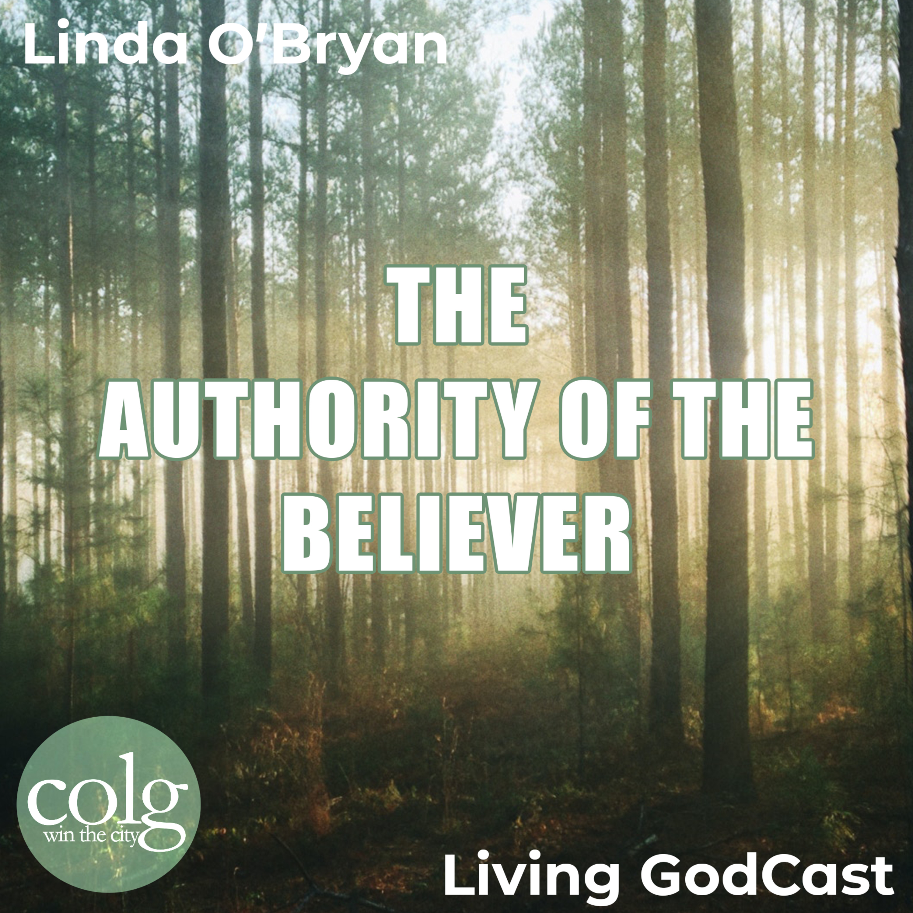 The Authority of the Believer (Part 2) - 2/19/2023 episode artwork
