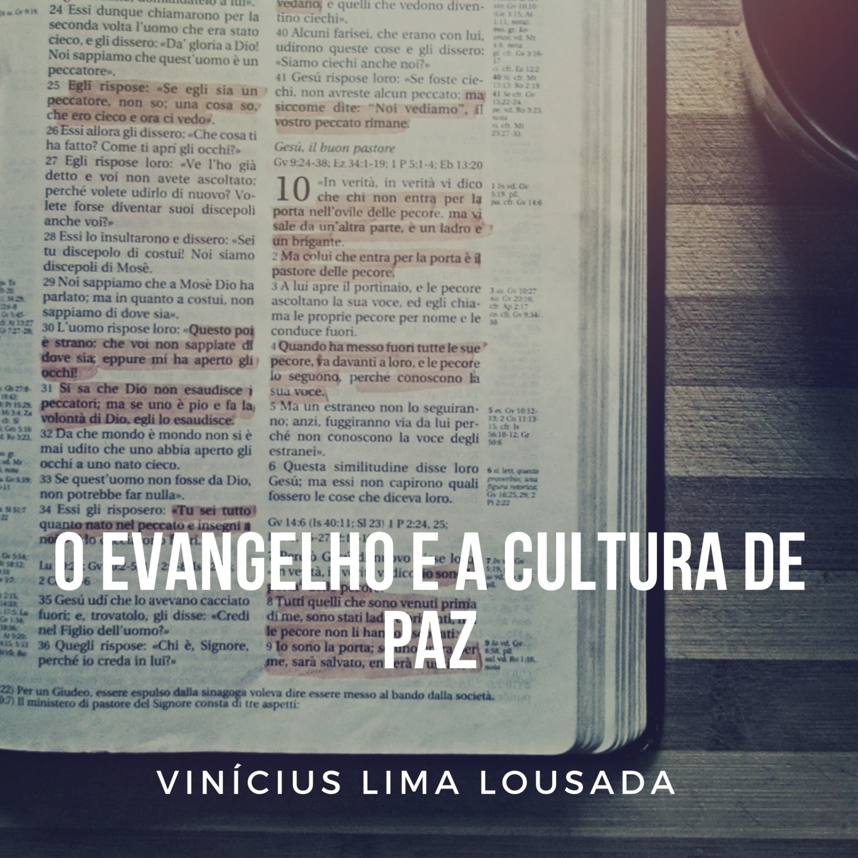 VINÍCIUS LIMA LOUSADA