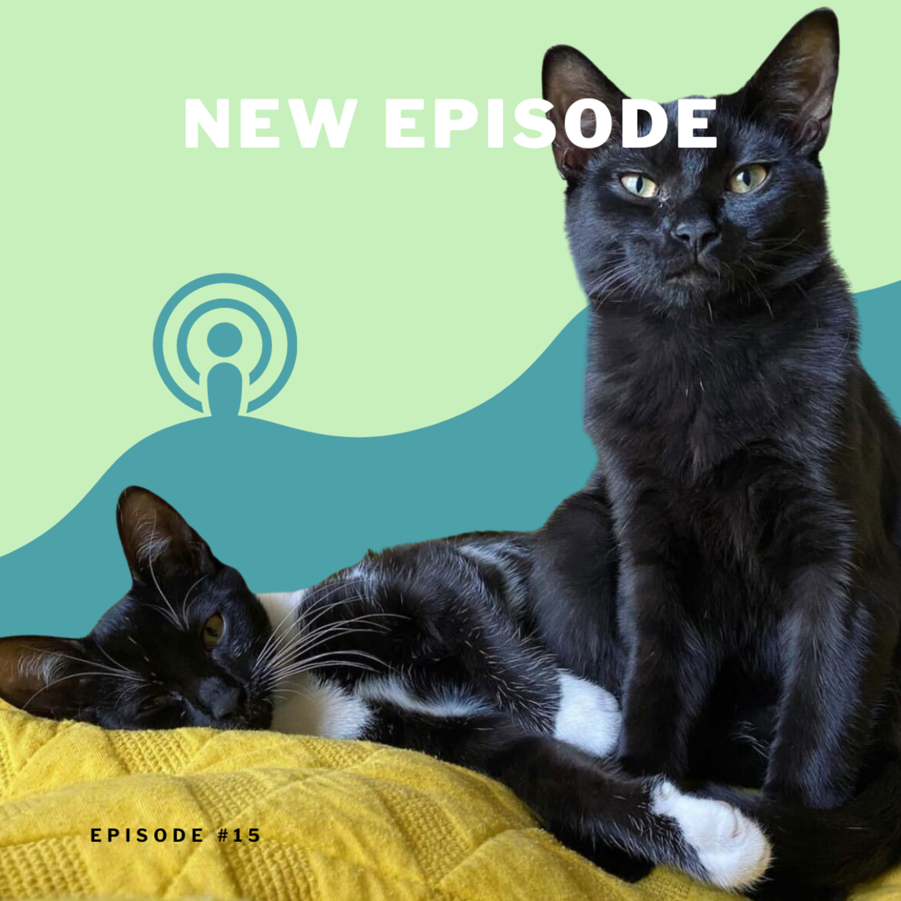 BLKHLTH Podcast
