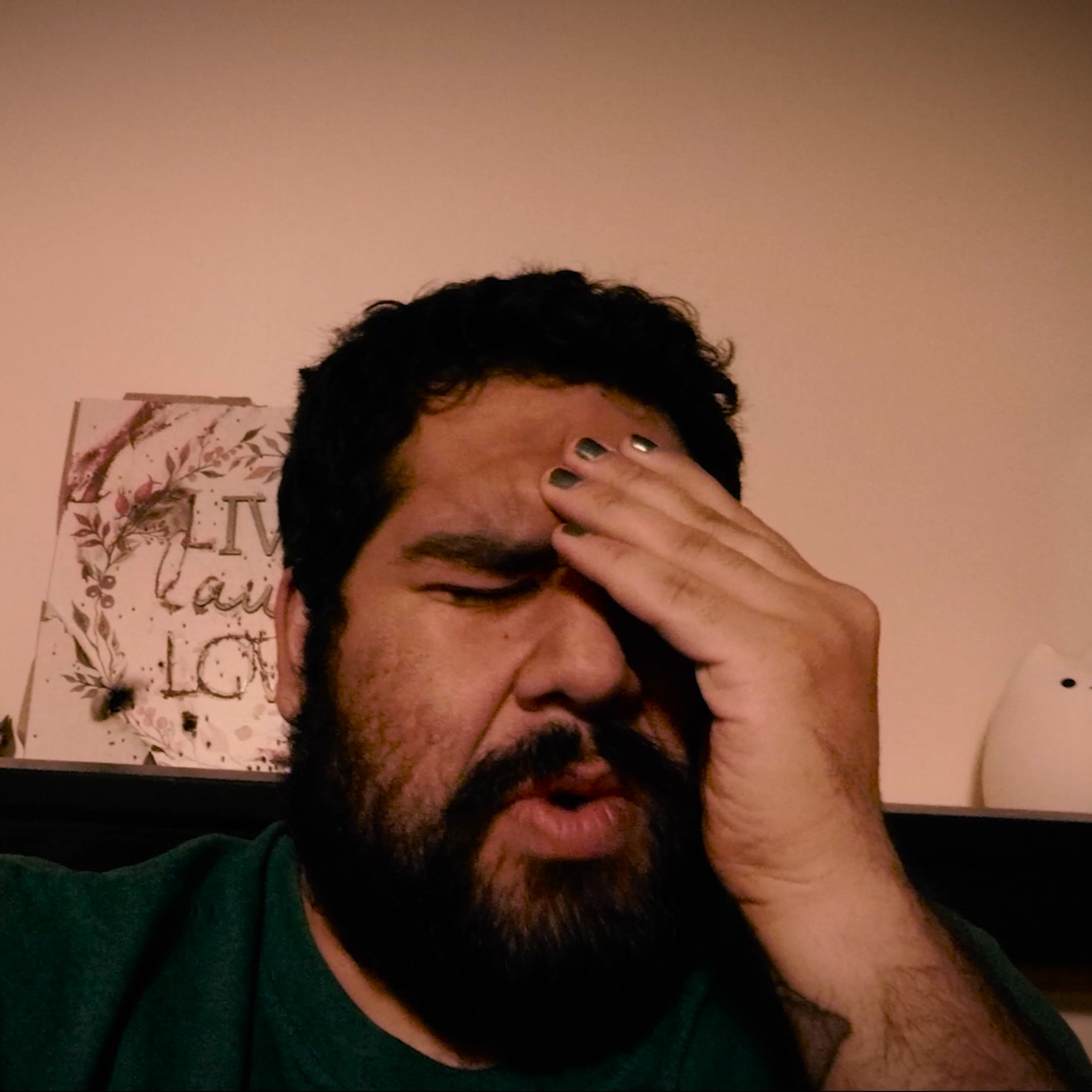 Artist Personal Journalist