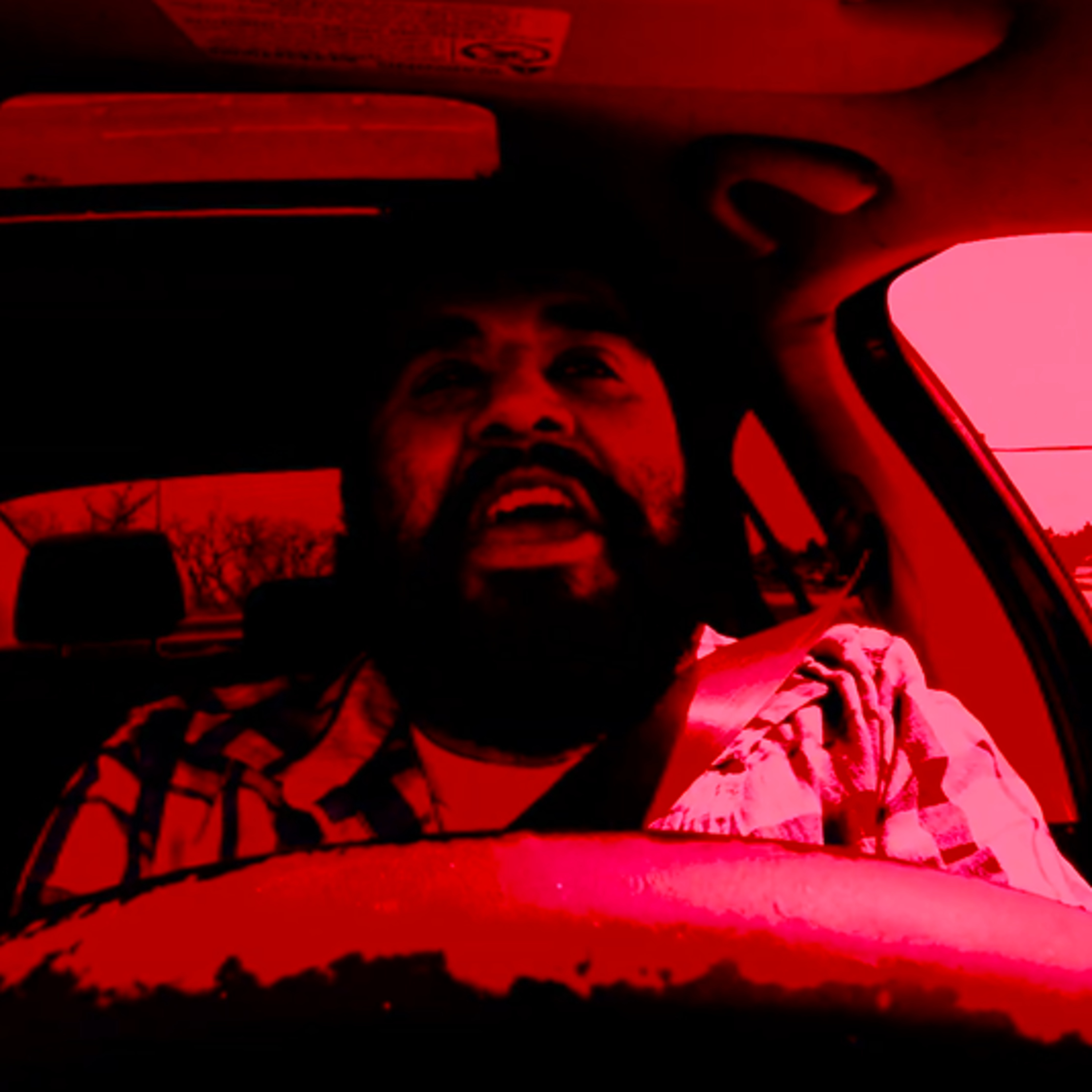 Artist Personal Journalist