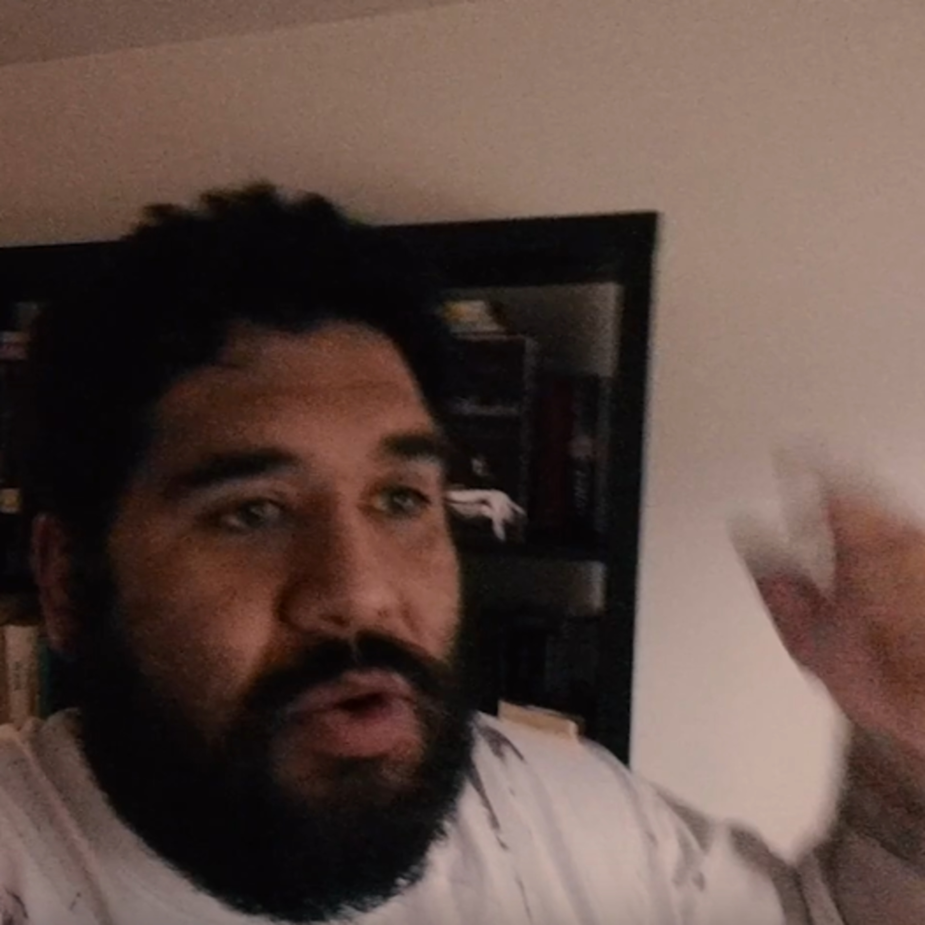 Artist Personal Journalist