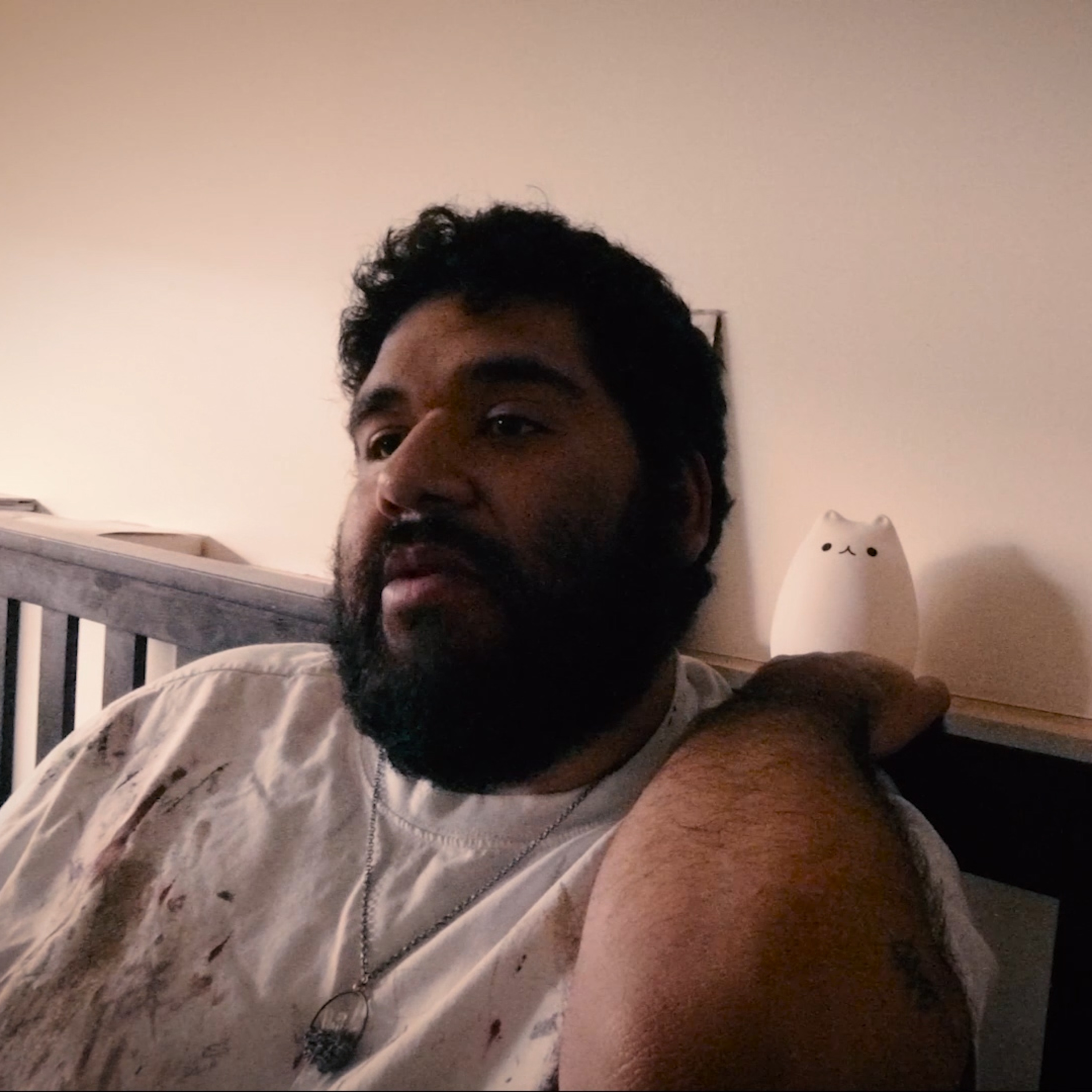 Artist Personal Journalist