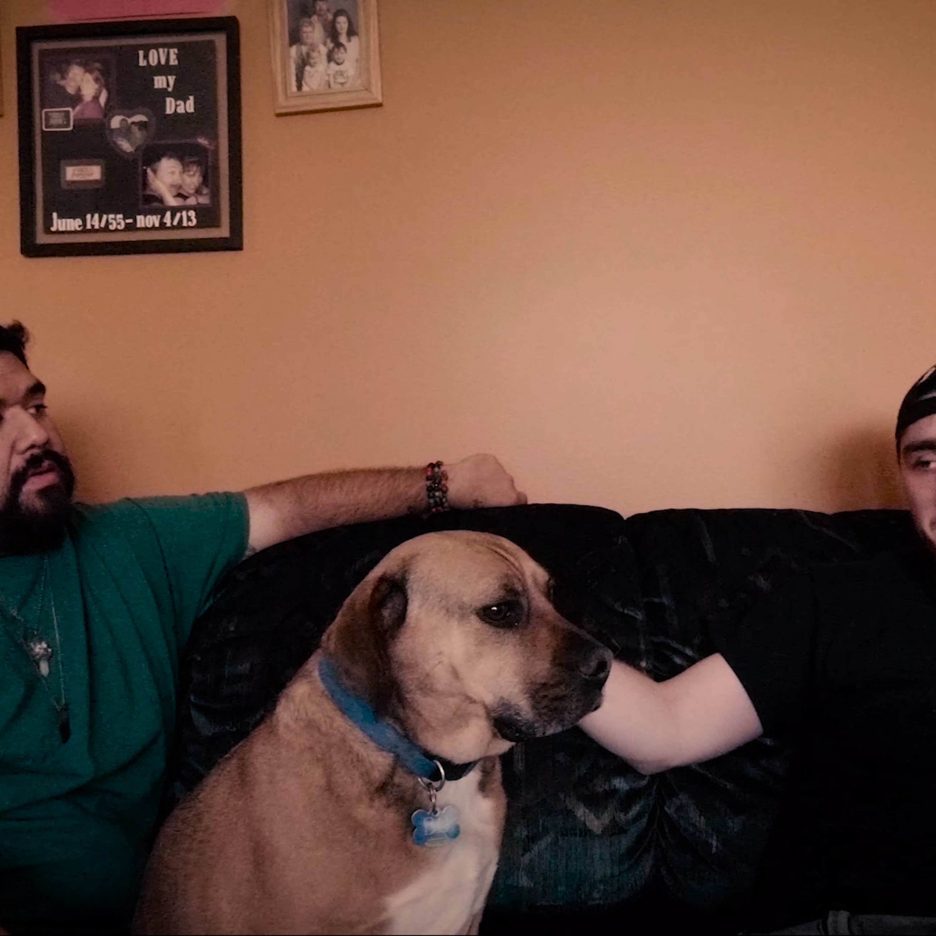 Artist Personal Journalist