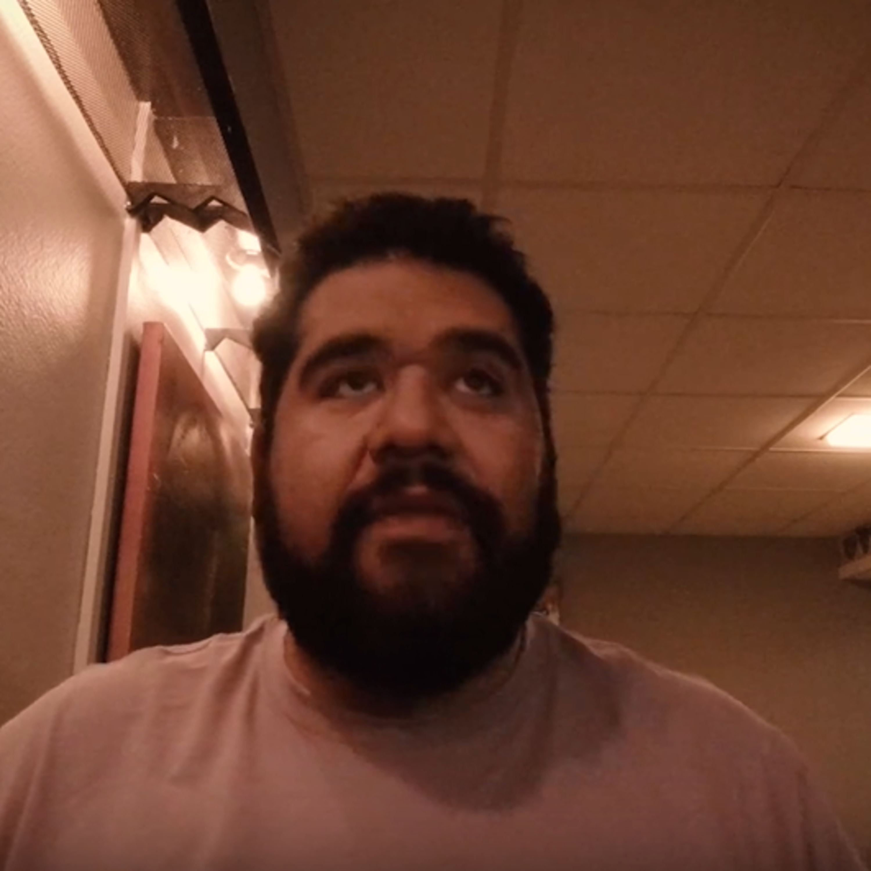 Artist Personal Journalist