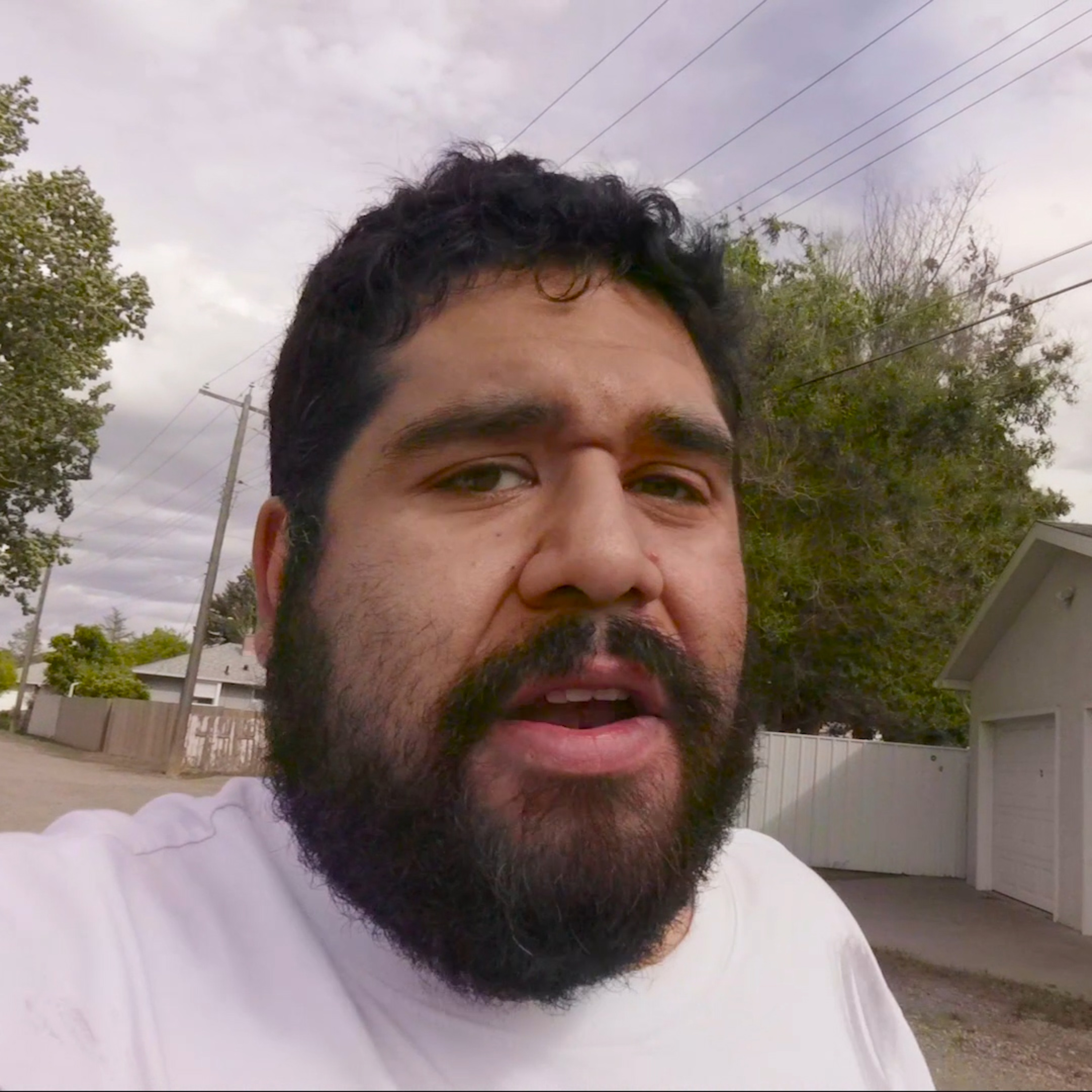 Artist Personal Journalist