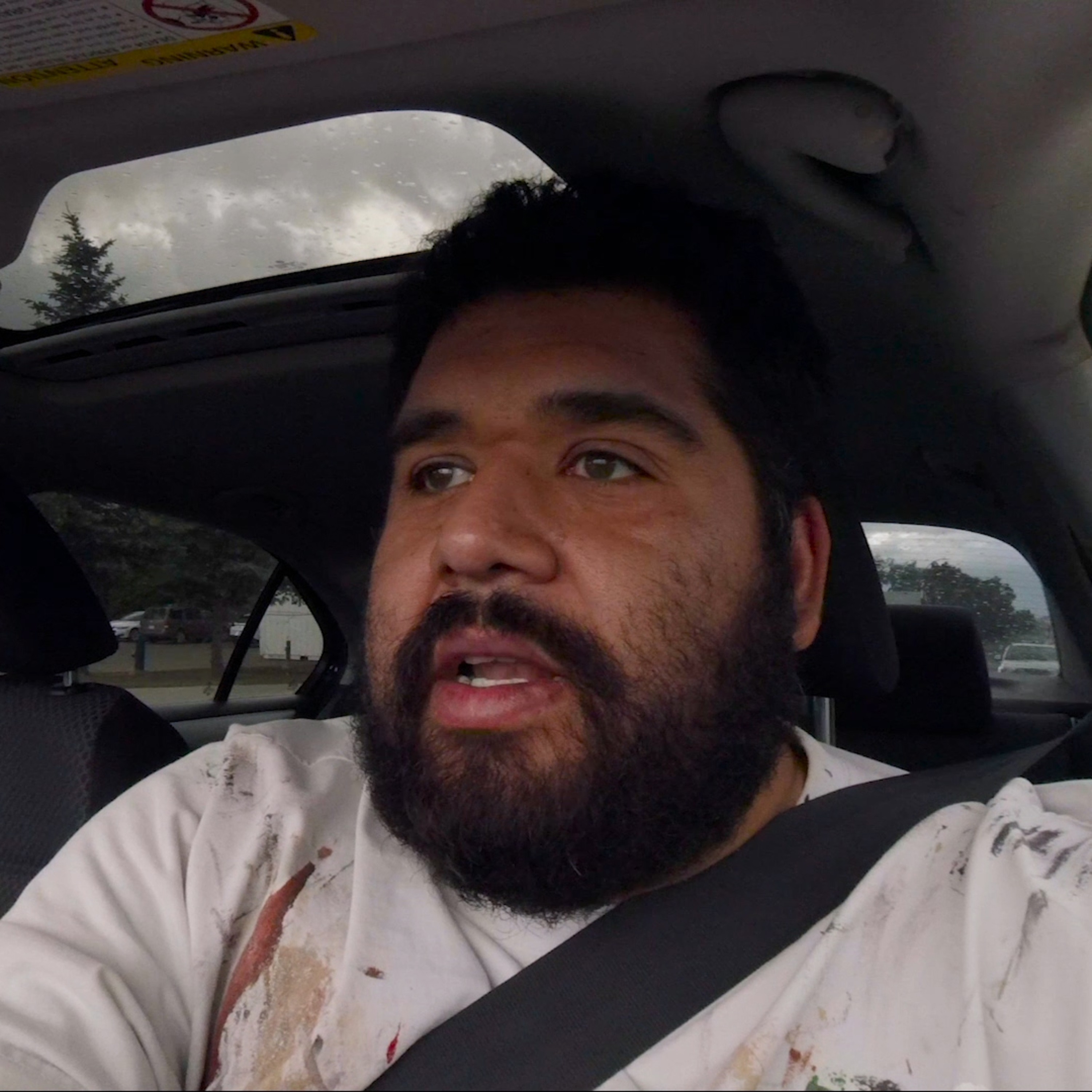 Artist Personal Journalist