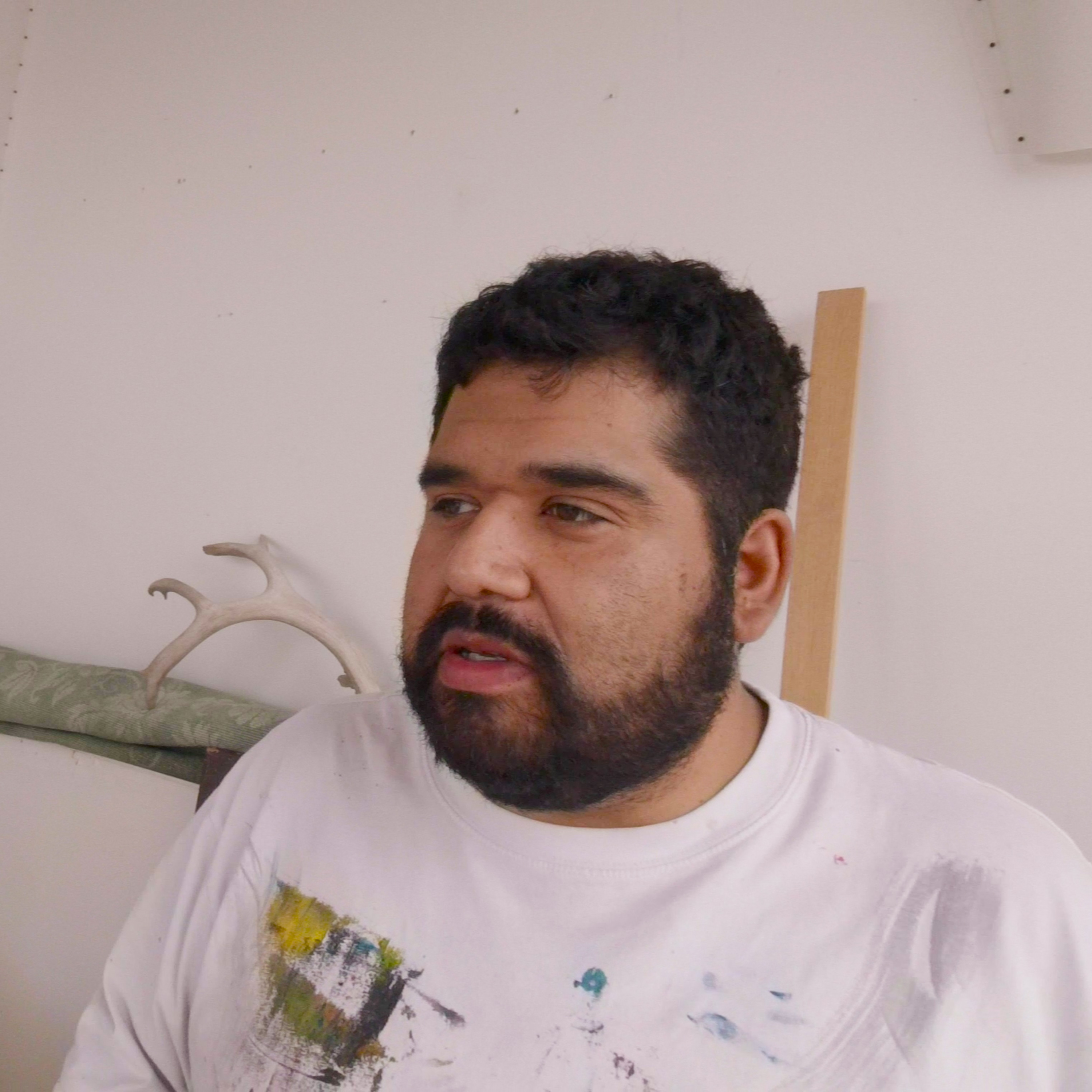 Artist Personal Journalist