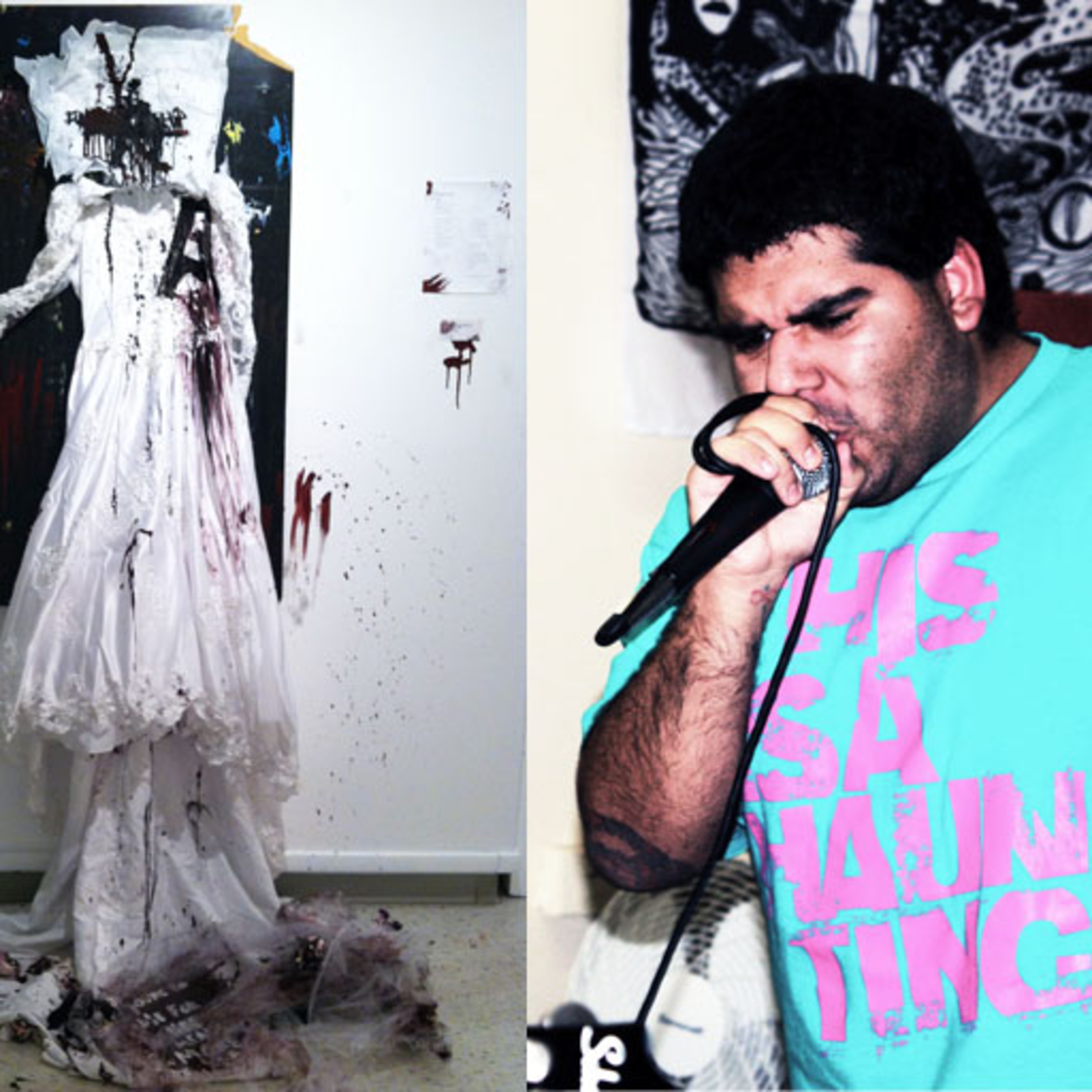 Artist Personal Journalist