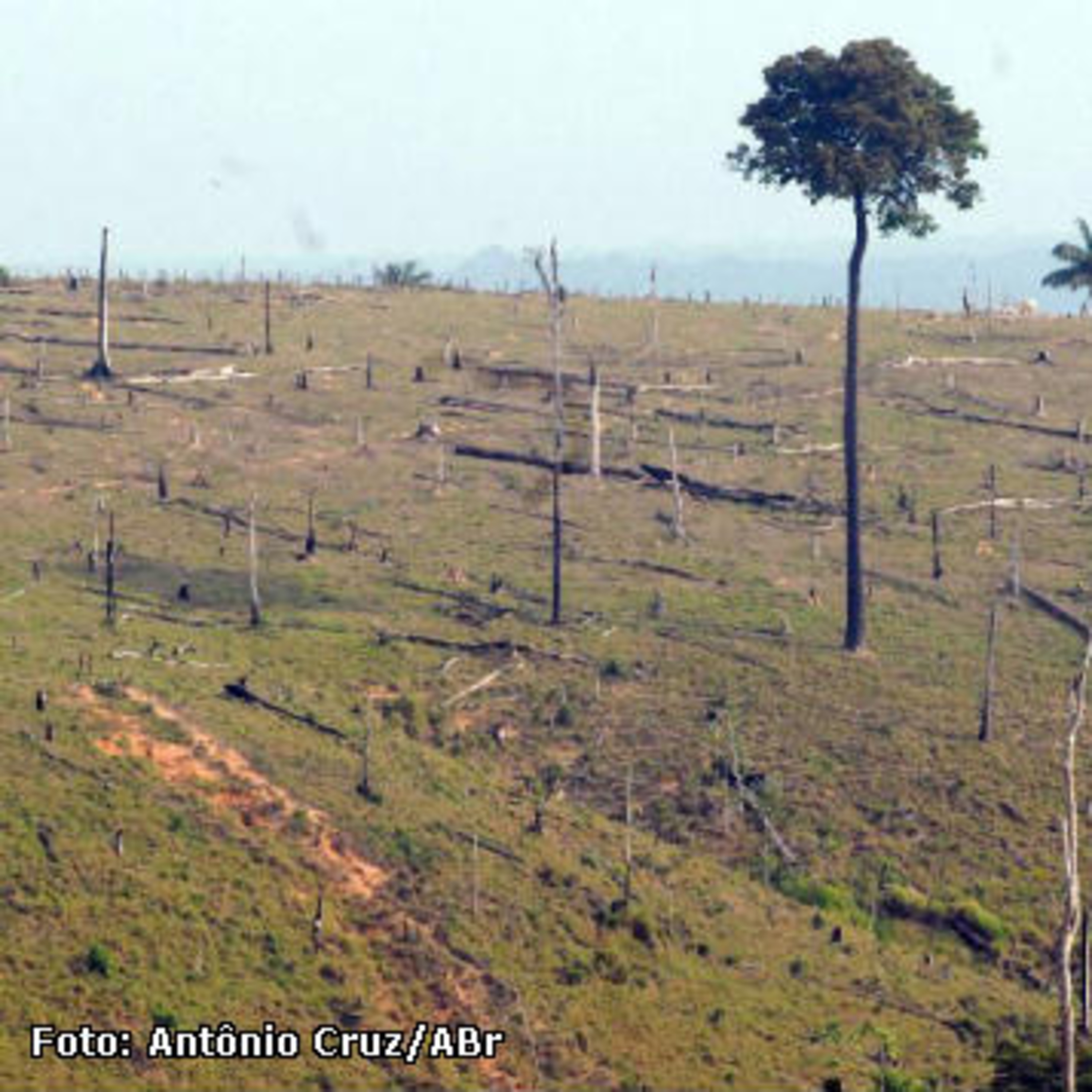 Podcast EcoDebate