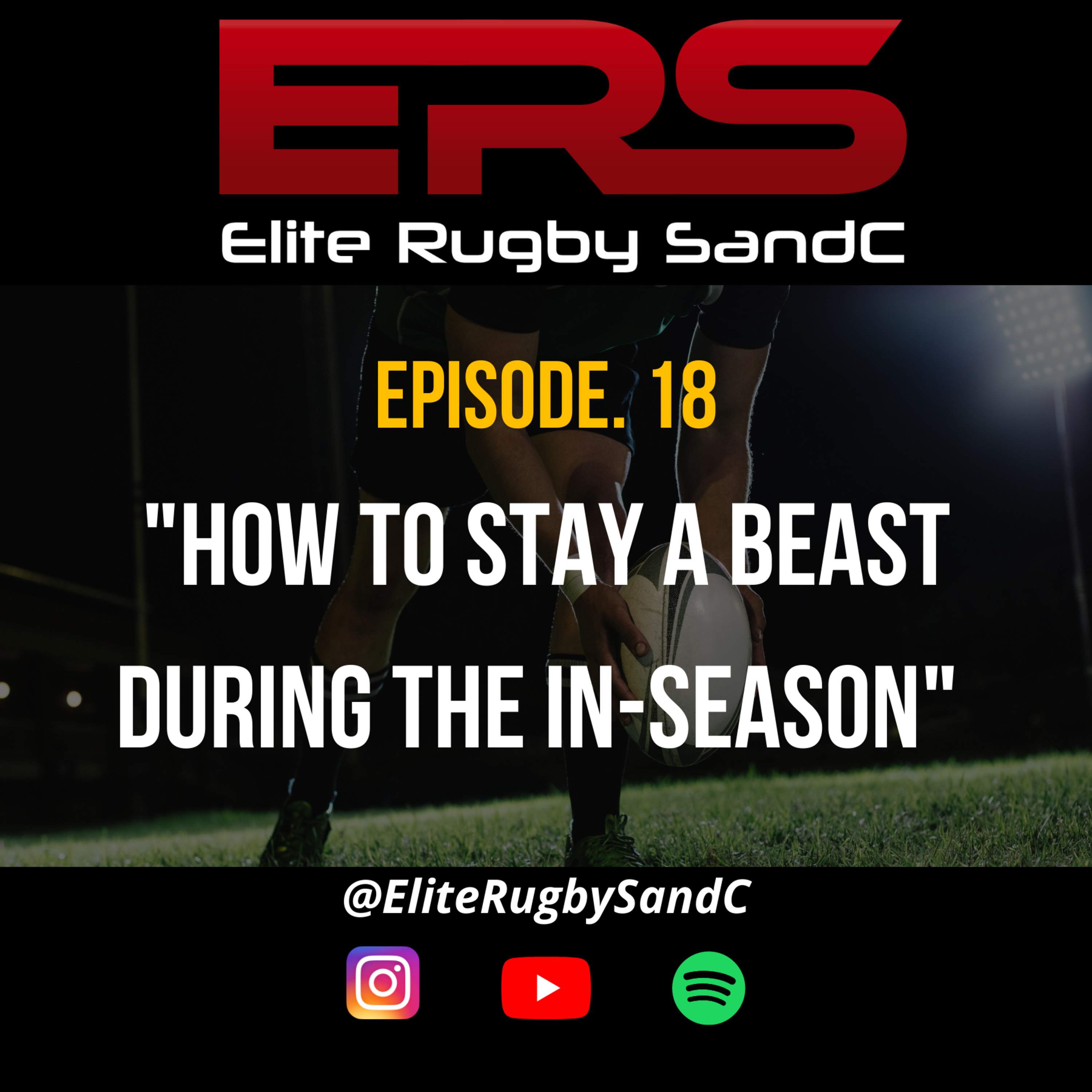 Elite Rugby SandC
