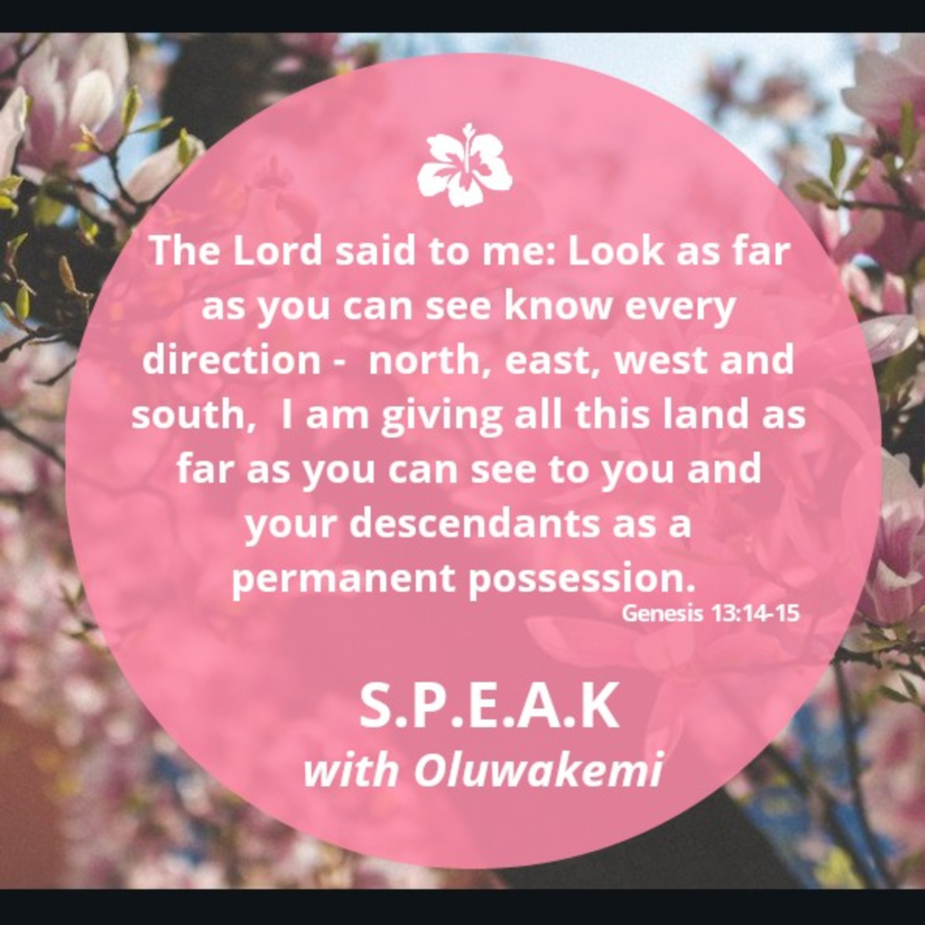 S.P.E.A.K with Odunayo Oluwakemi