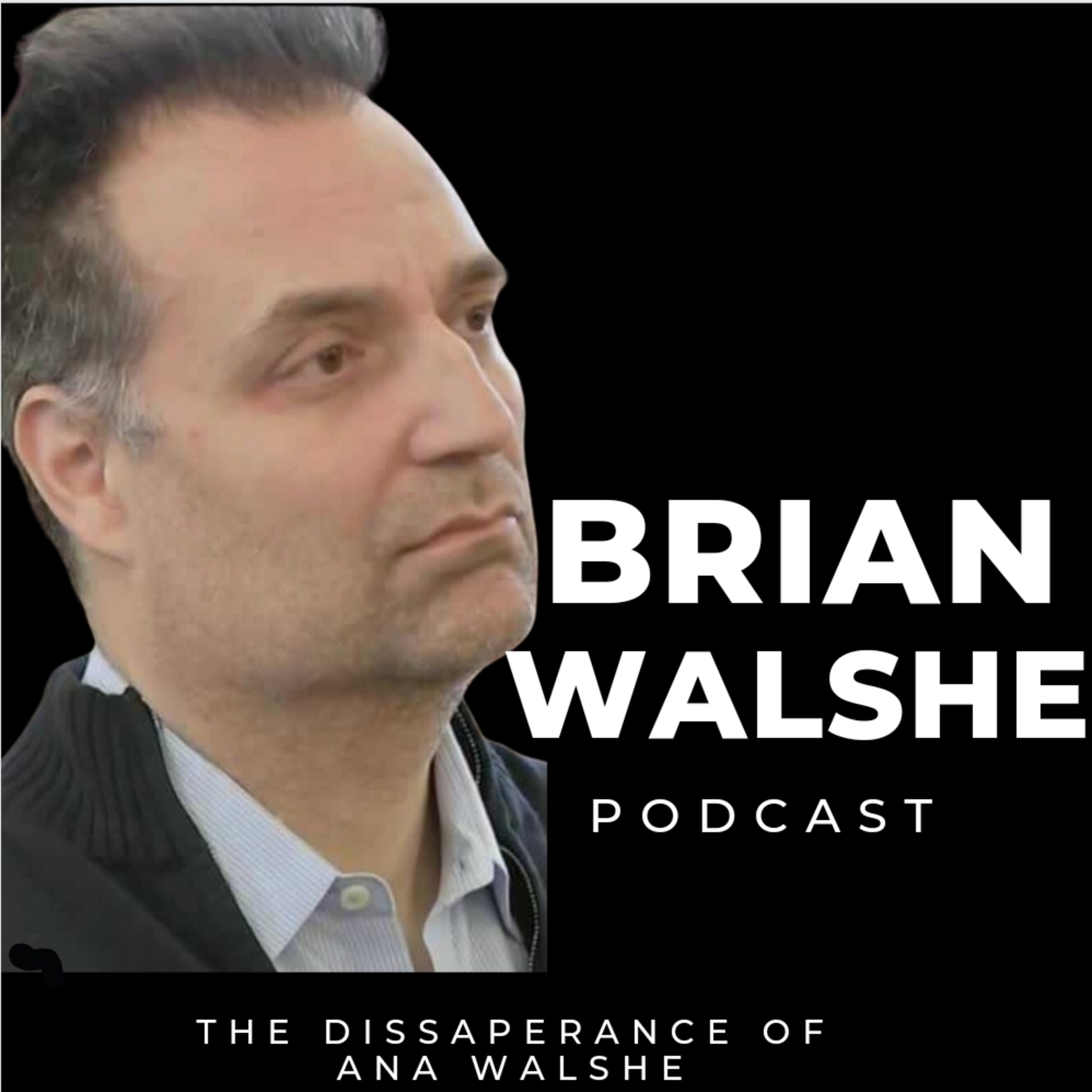 Ana Walshe Podcast , the disappearance of Ana Walshe , Brian Walshe private detective
