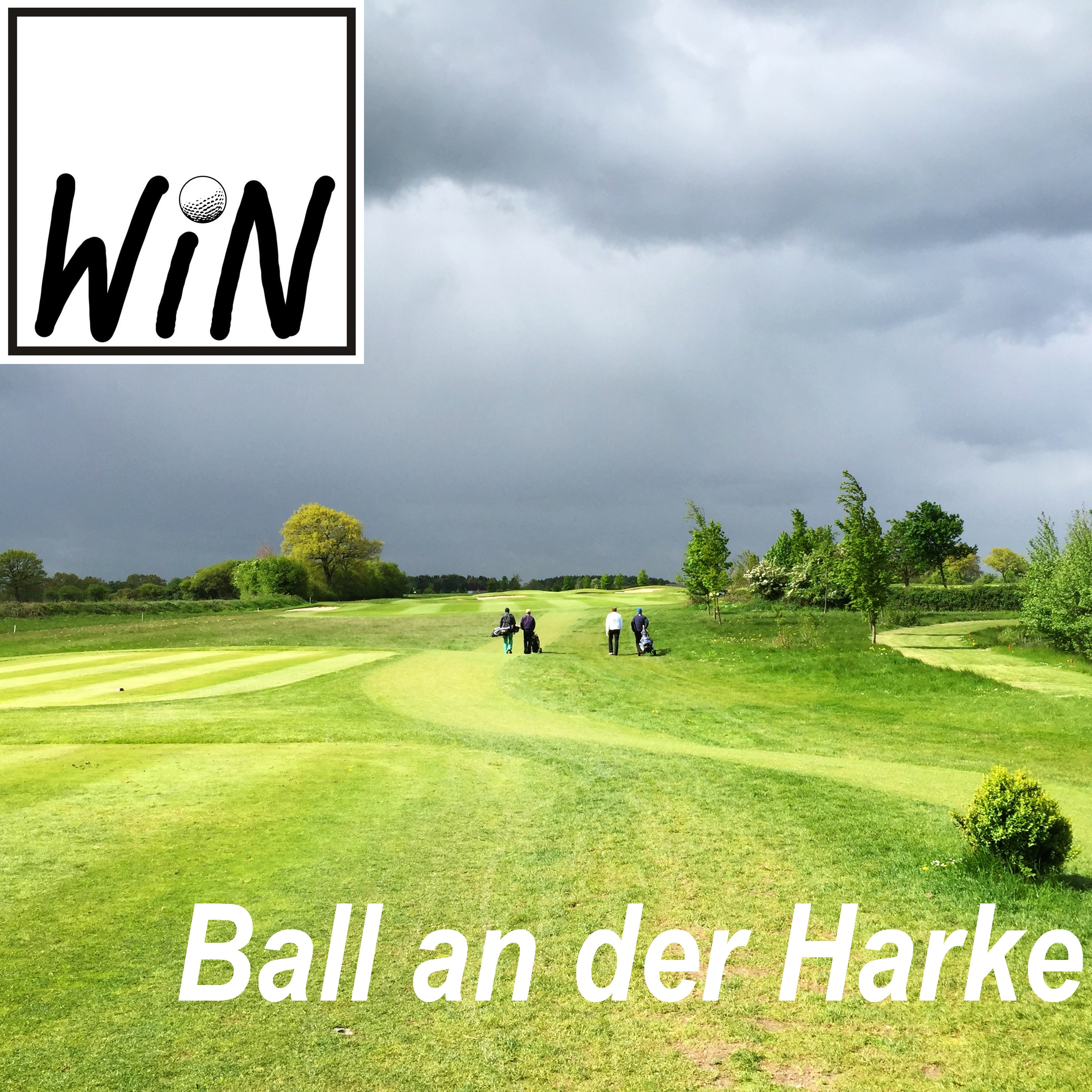 Regelfrage 5: Ball an der Harke
