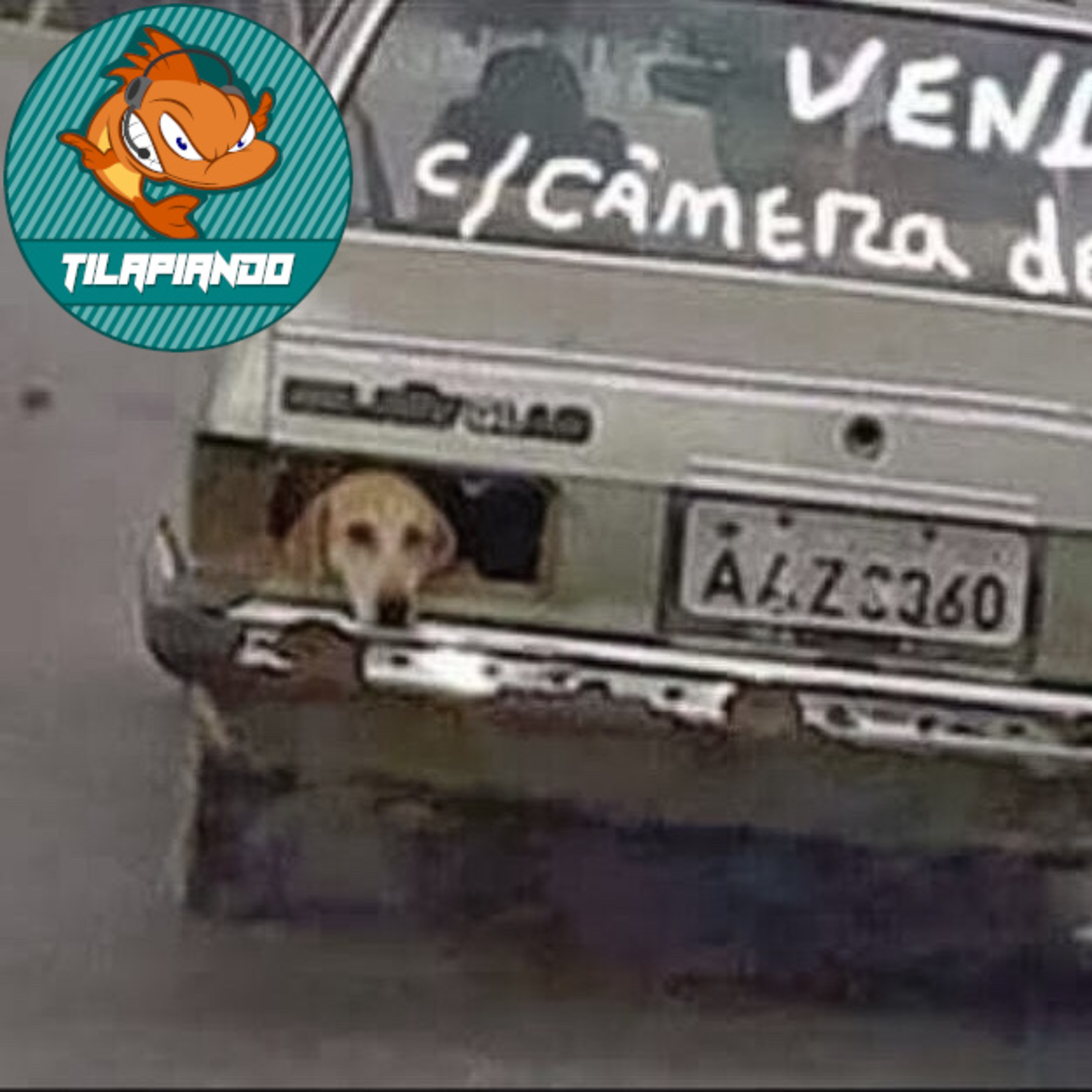 Tilapiando